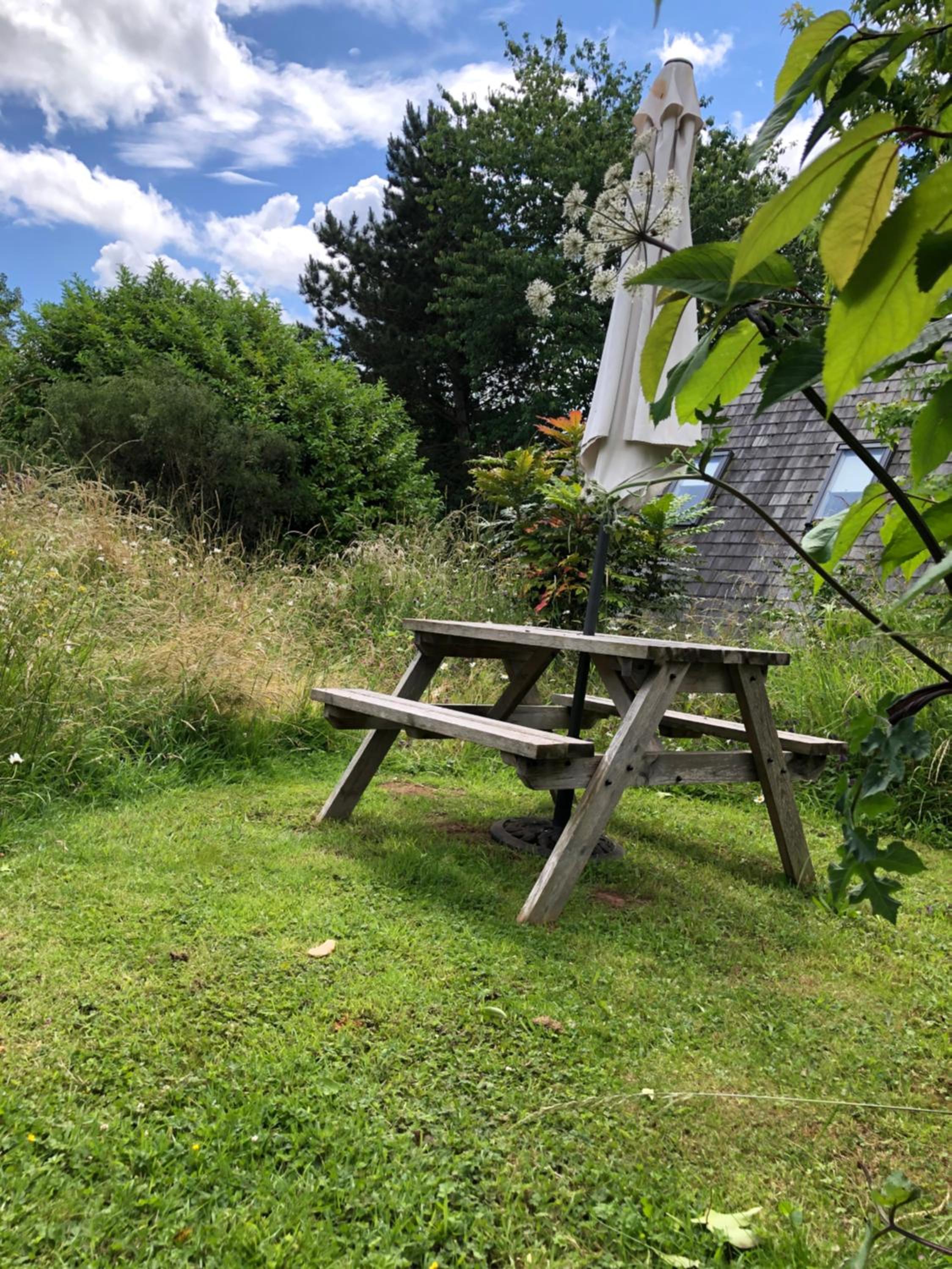 Studio with Garden View photo 2