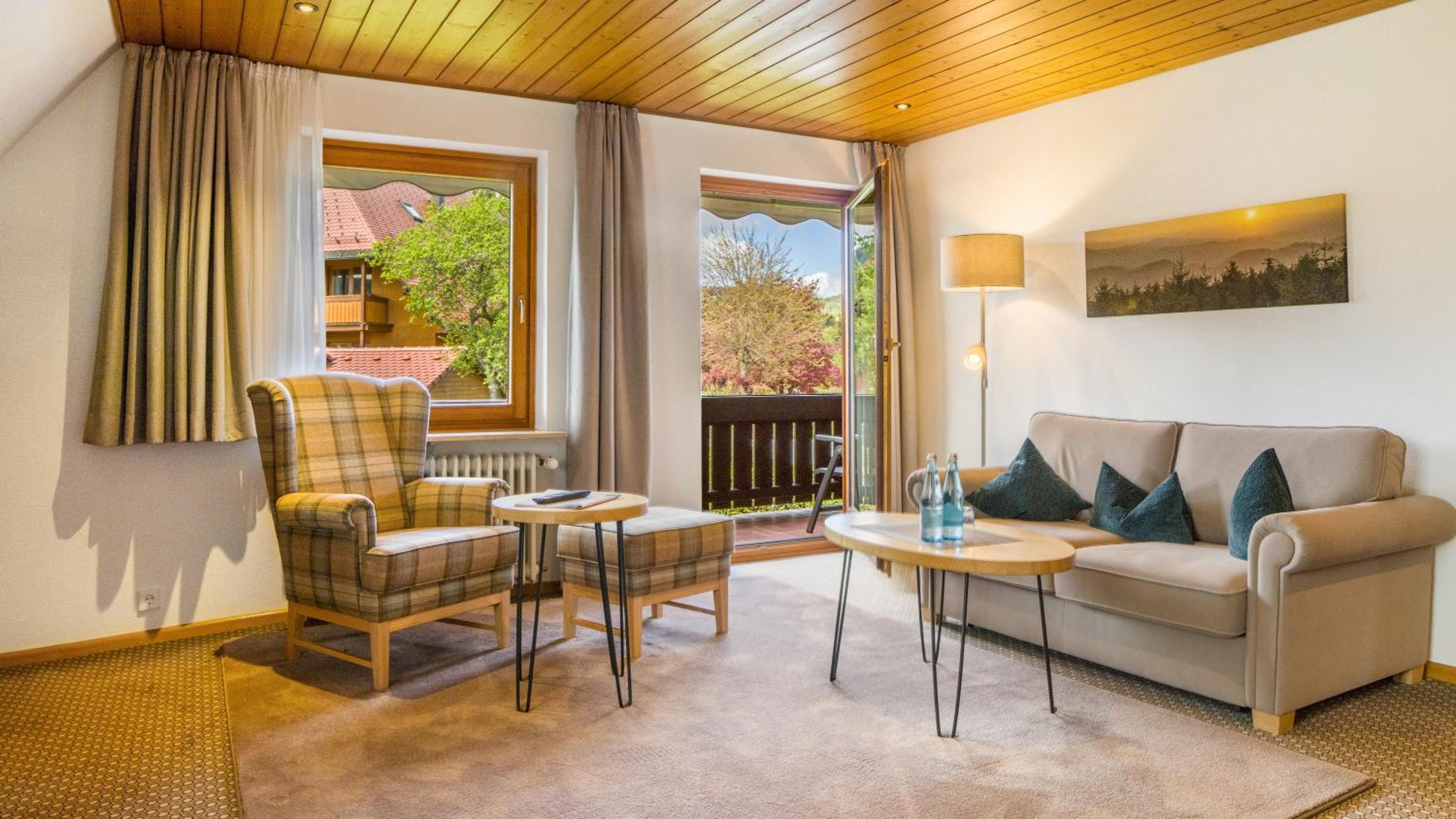Superior One-Bedroom Apartment with Balcony