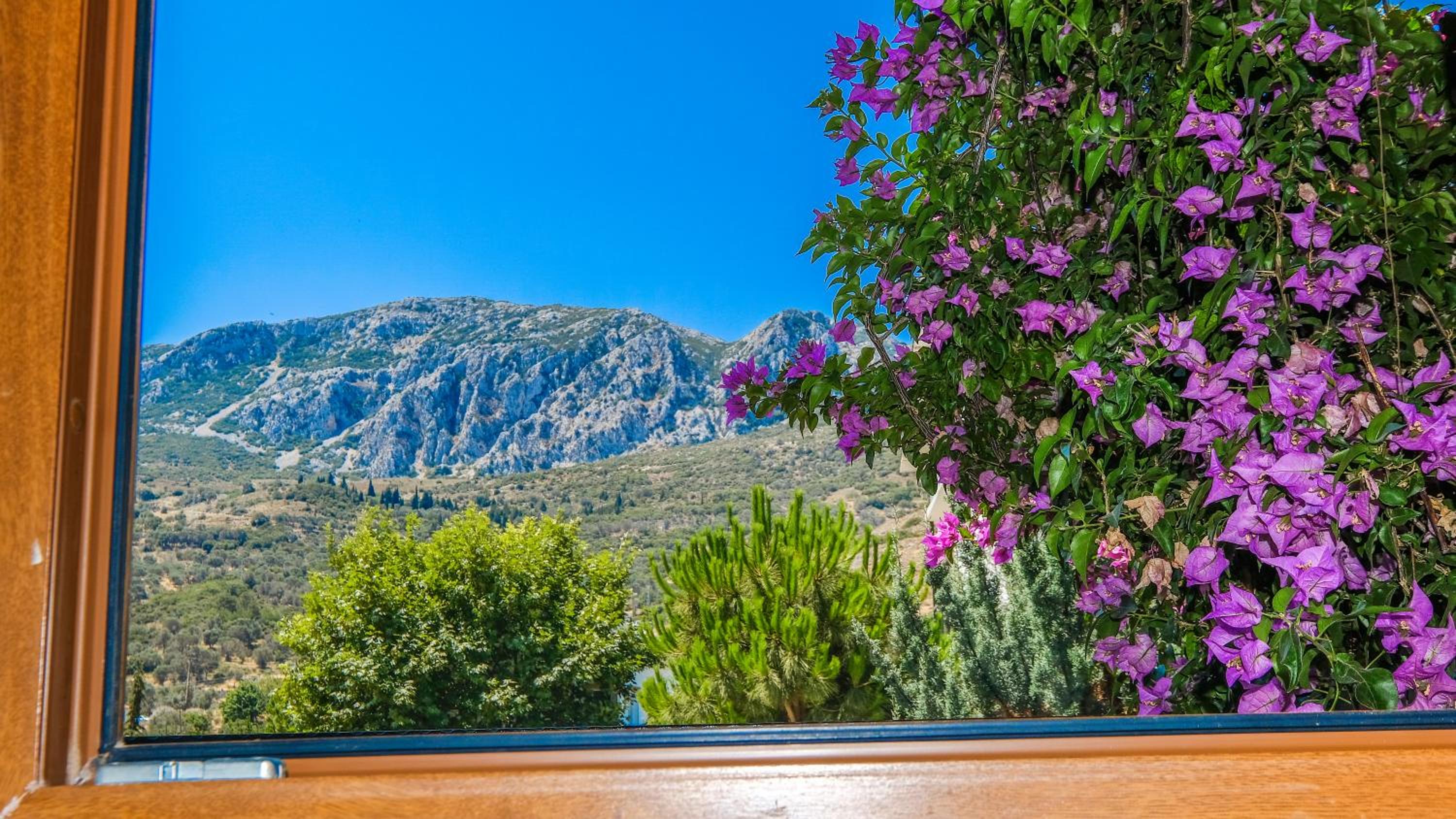 Double Room With Mountain View photo 2