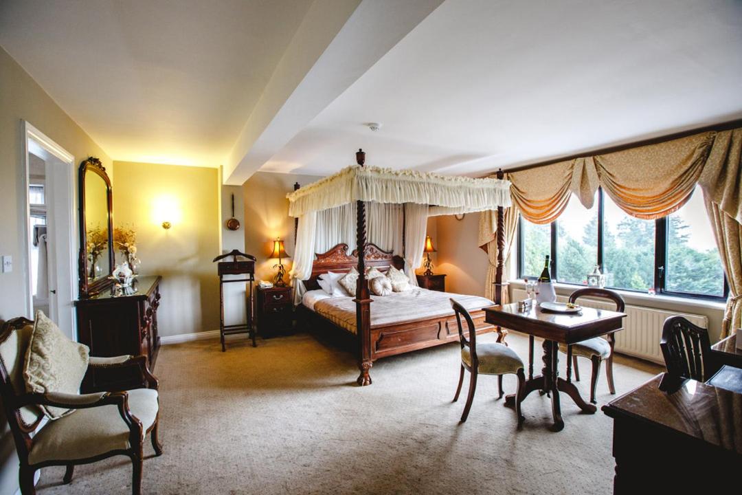 Deluxe King Suite - Photo 1