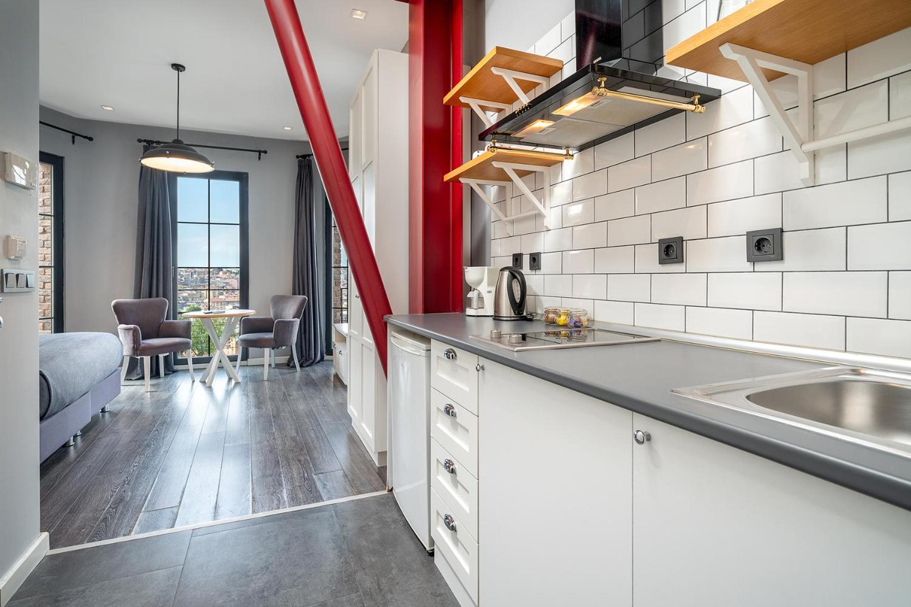 One-Bedroom Apartment with City View photo 3