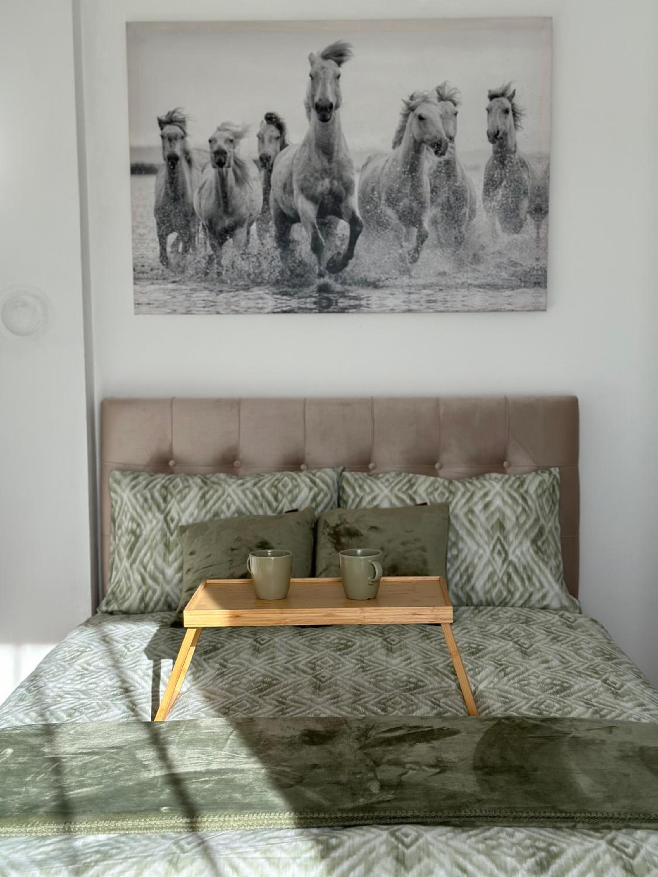 One-Bedroom Apartment photo 1