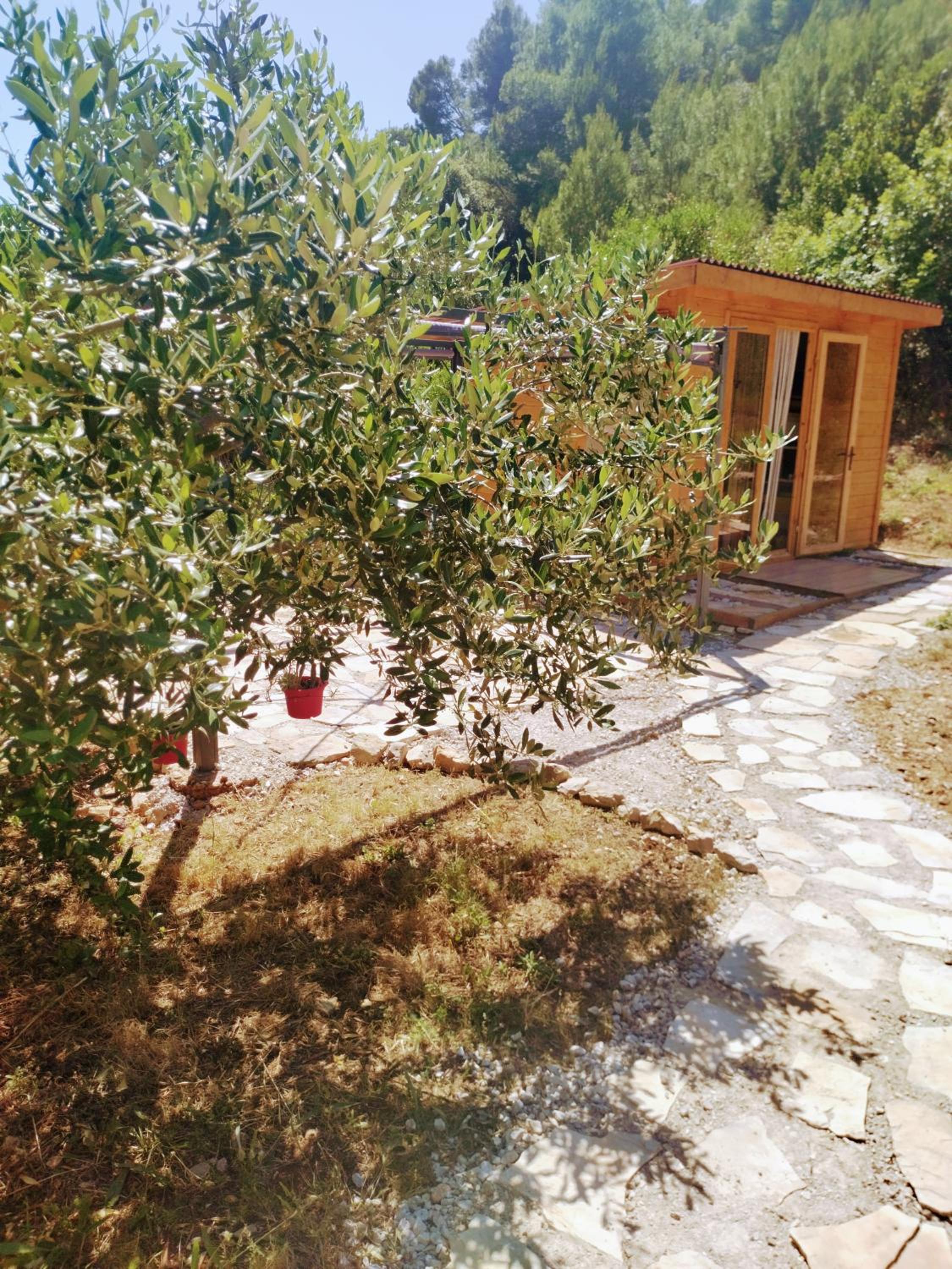 Quadruple Room with Garden View photo 3