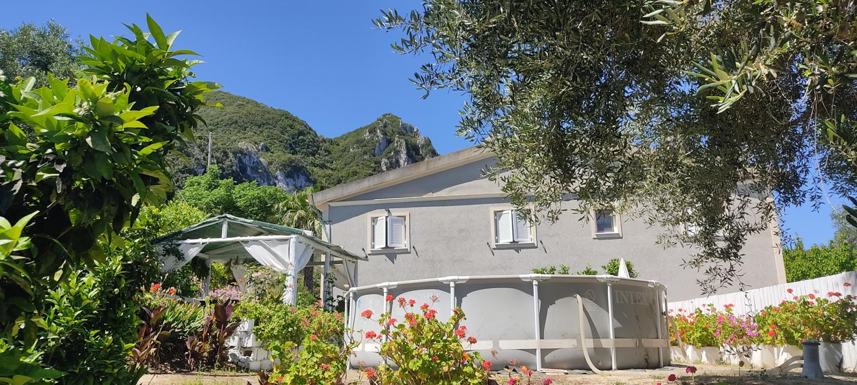 Three-Bedroom Villa photo 2