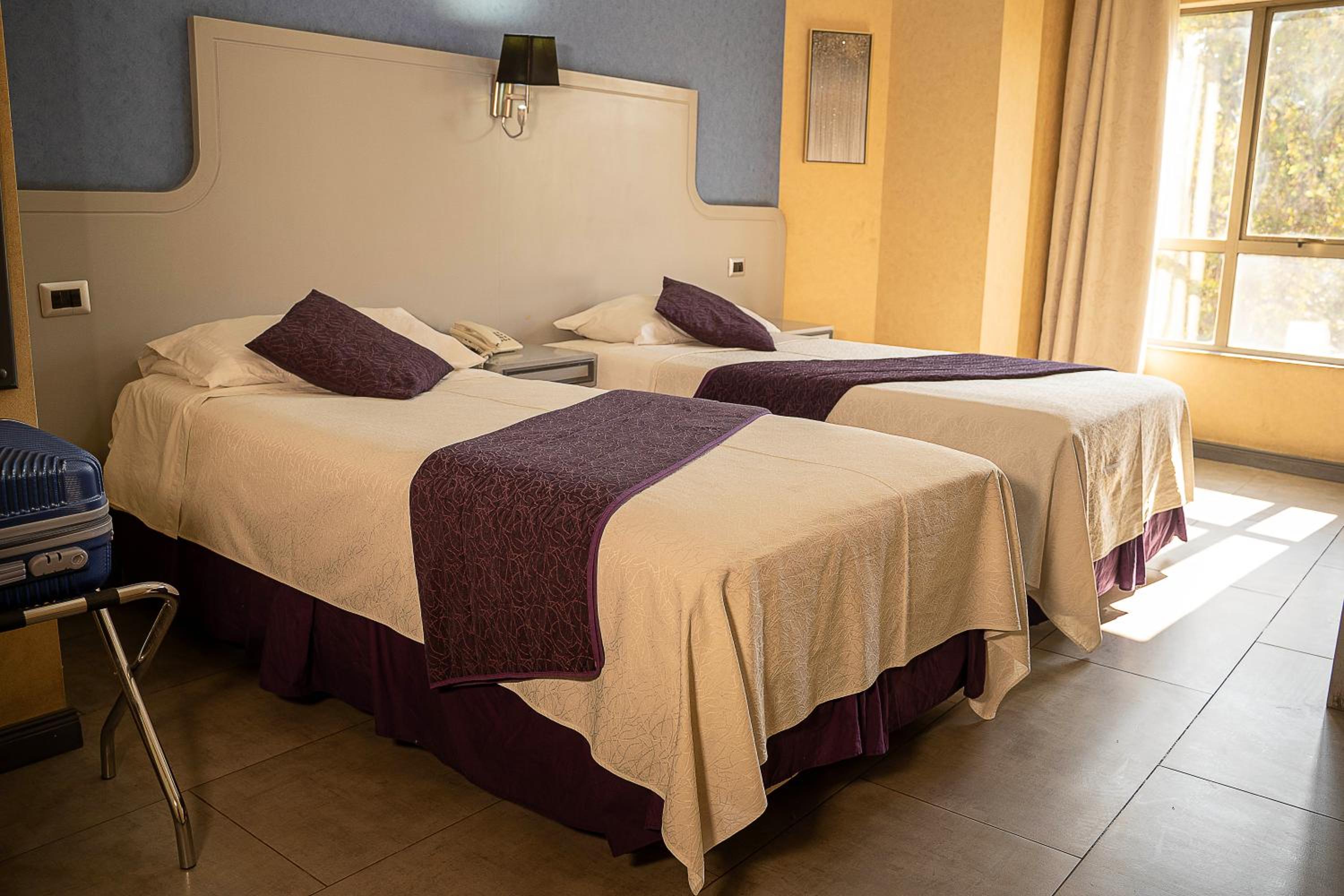 Twin Room photo 2
