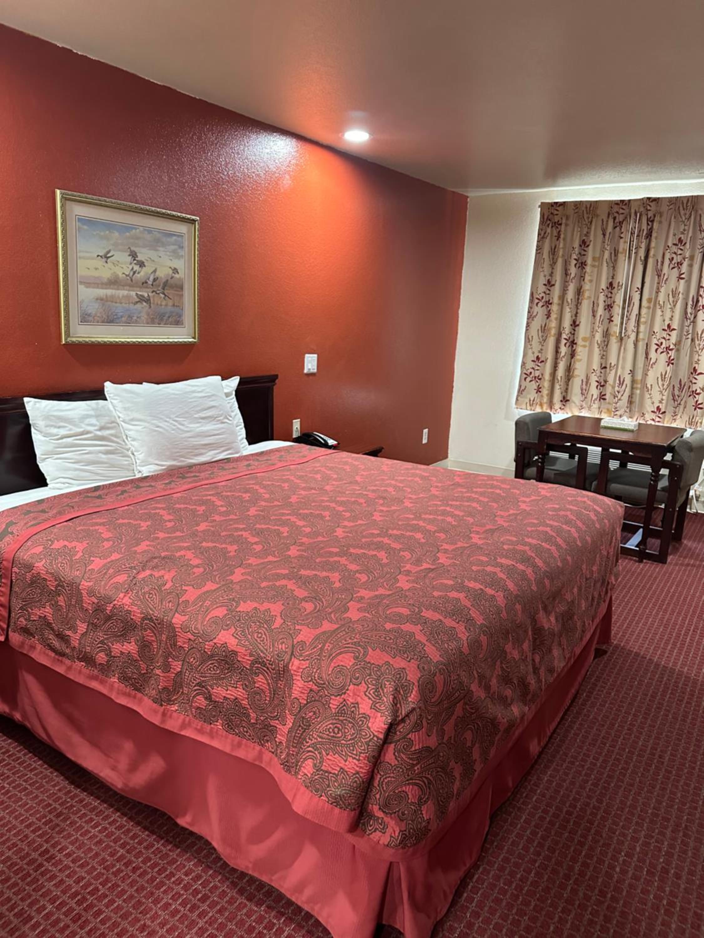King Room photo 2