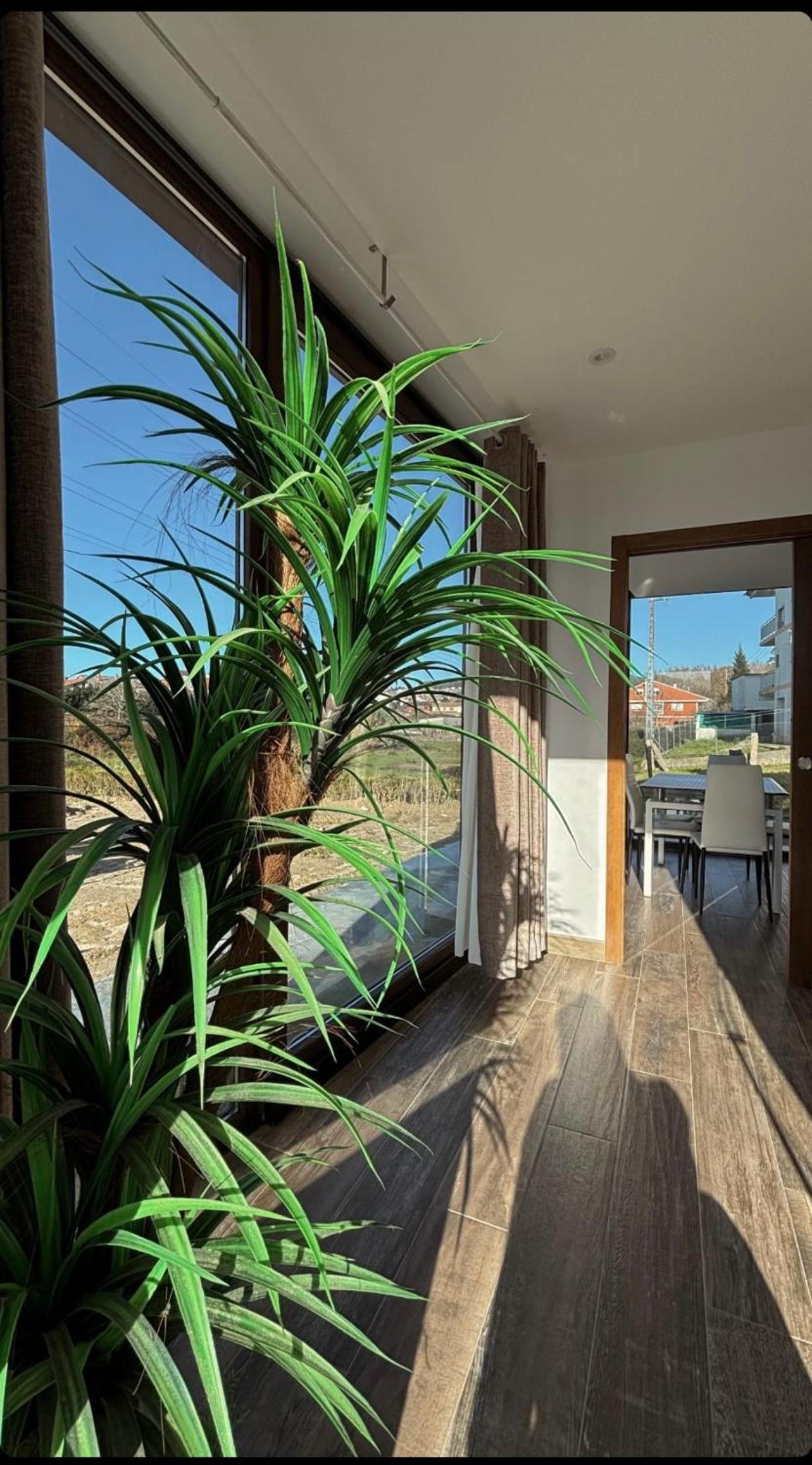 Casa de tres habitaciones