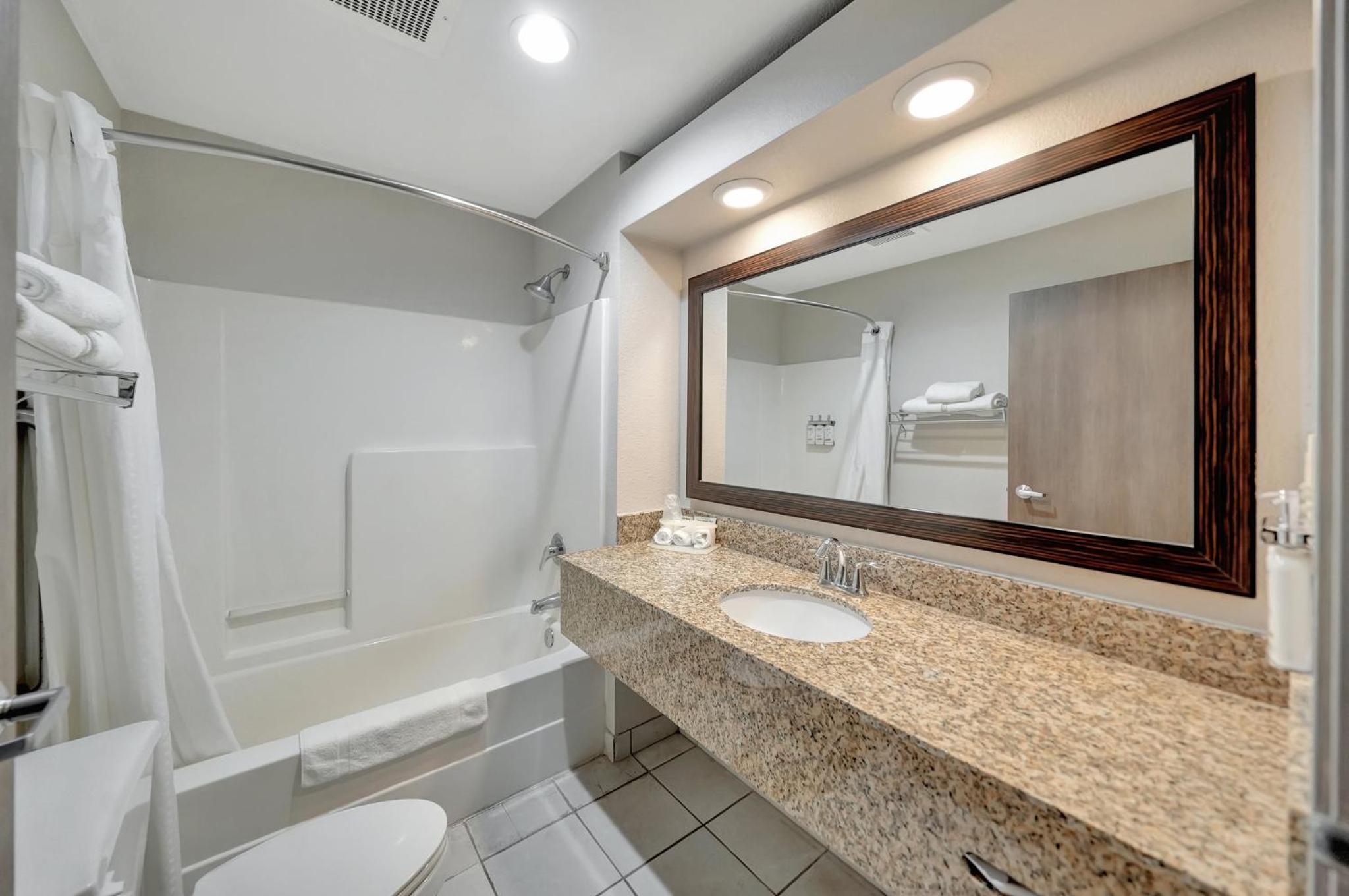 King Suite - Photo 4