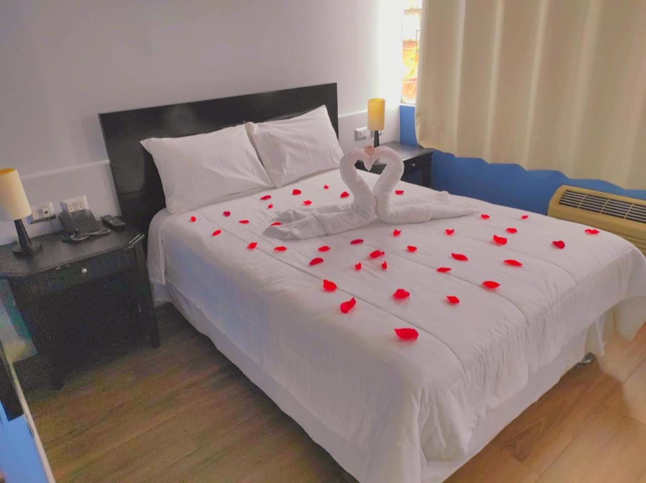 Standard Single Room photo 1