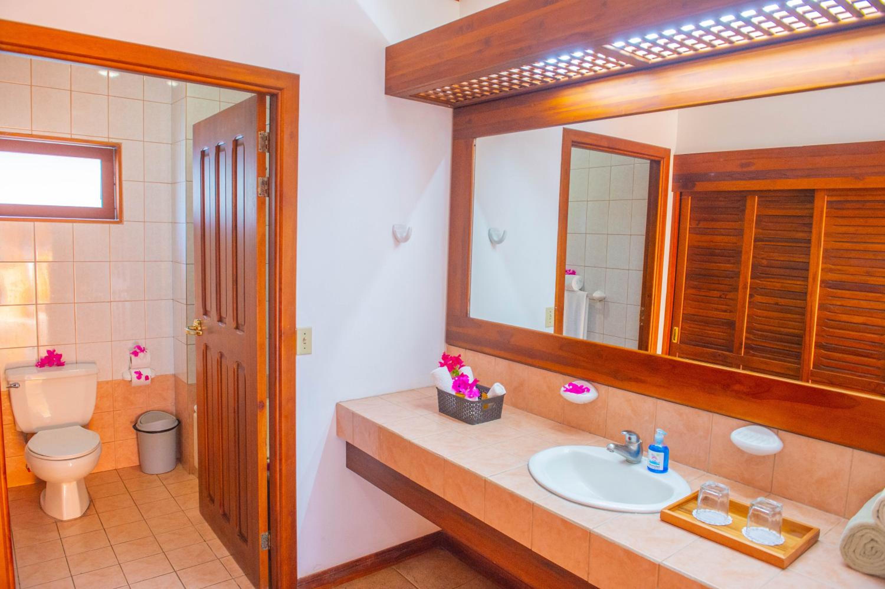 Superior Double Room photo 3