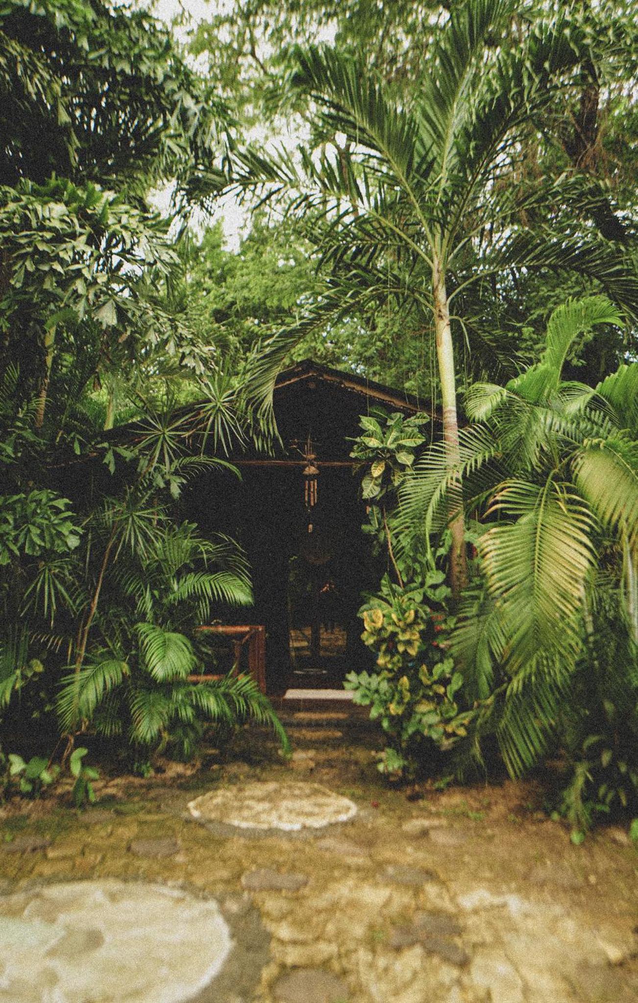 Jungle View Bungalow  photo 2