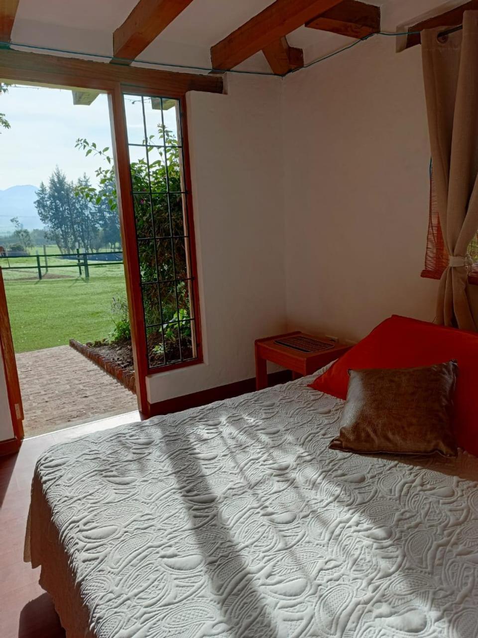 Double Room with Garden View photo 1