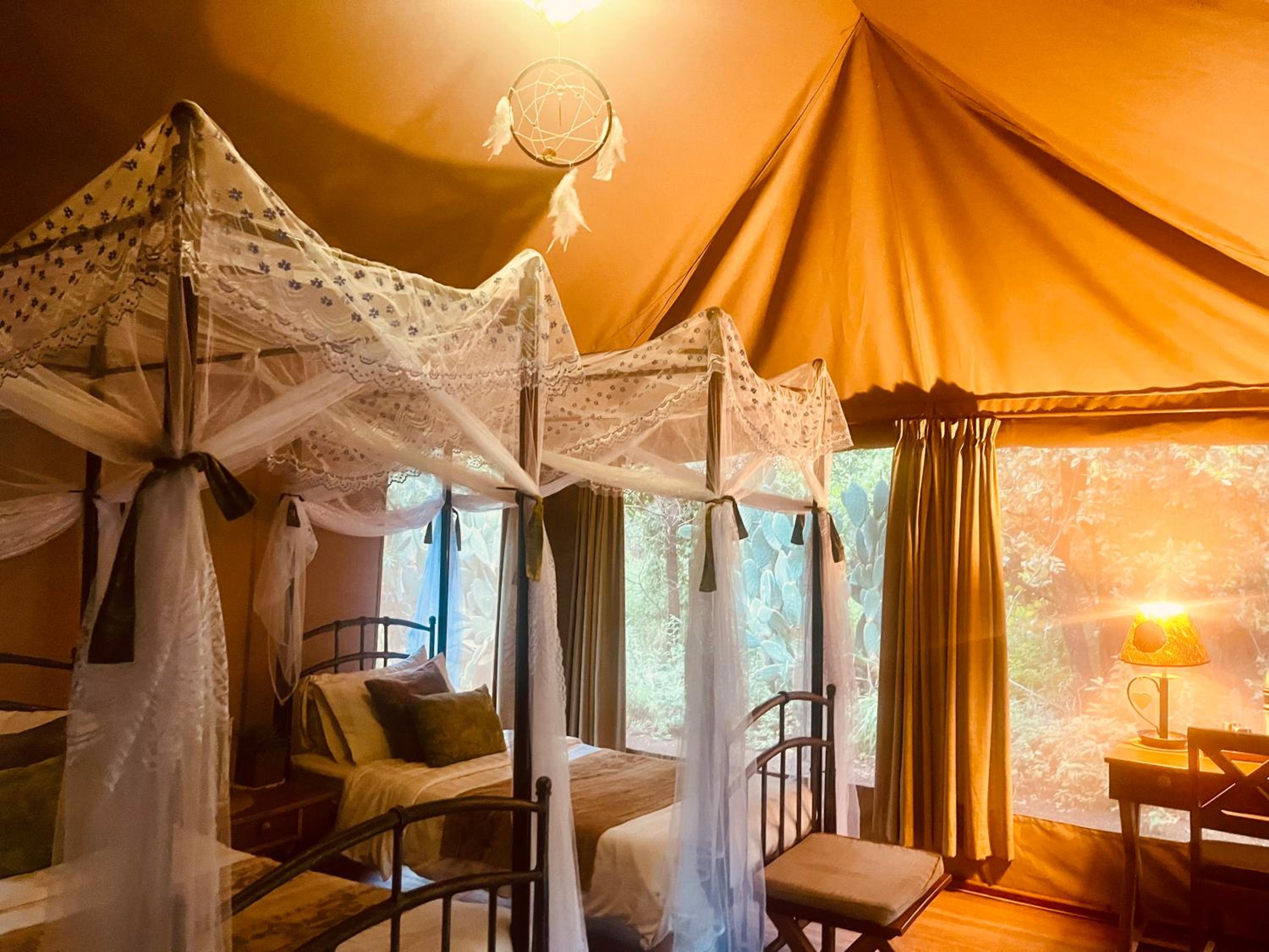 Tent with Twin Beds photo 1