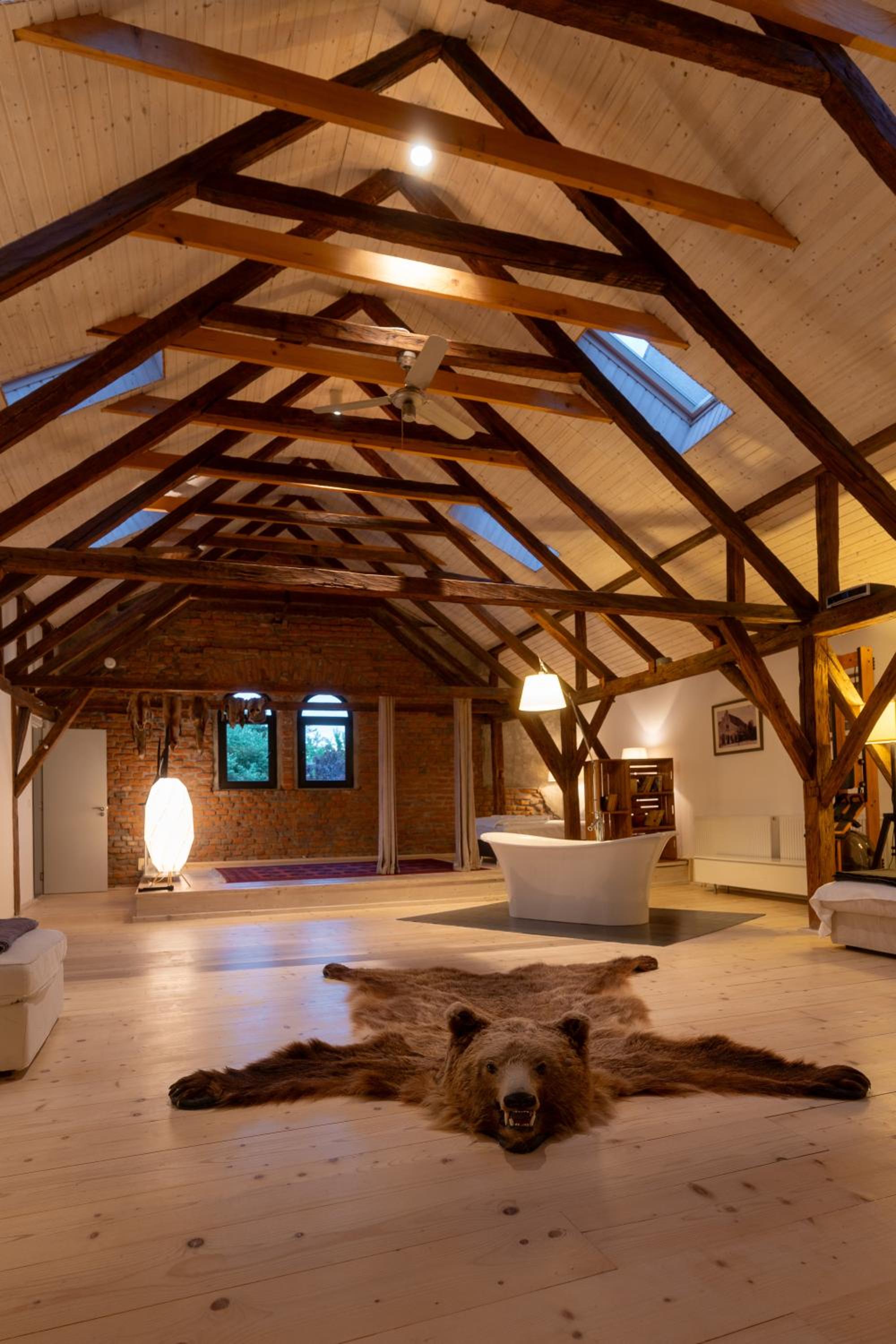 Loft photo 1