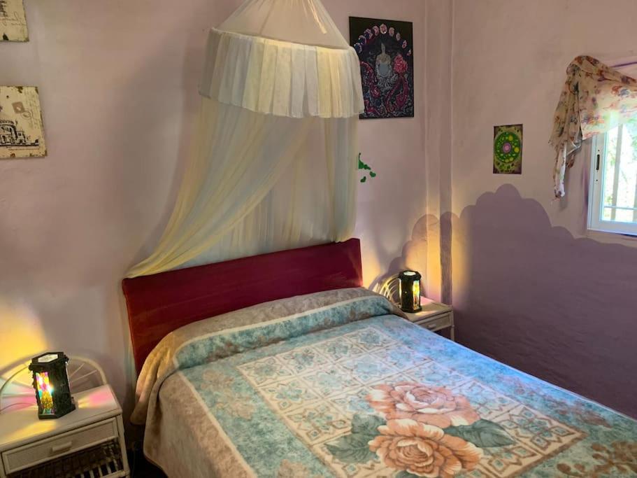 Casa de una habitación