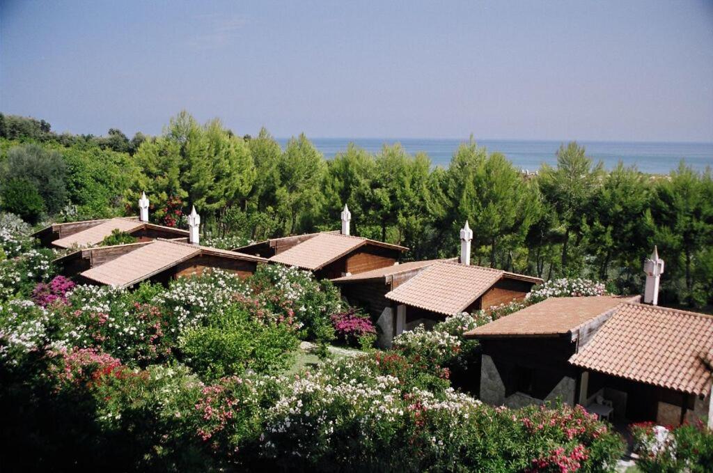 Superior Villa - Photo 11