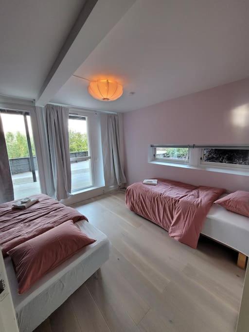 Five-Bedroom House photo 3