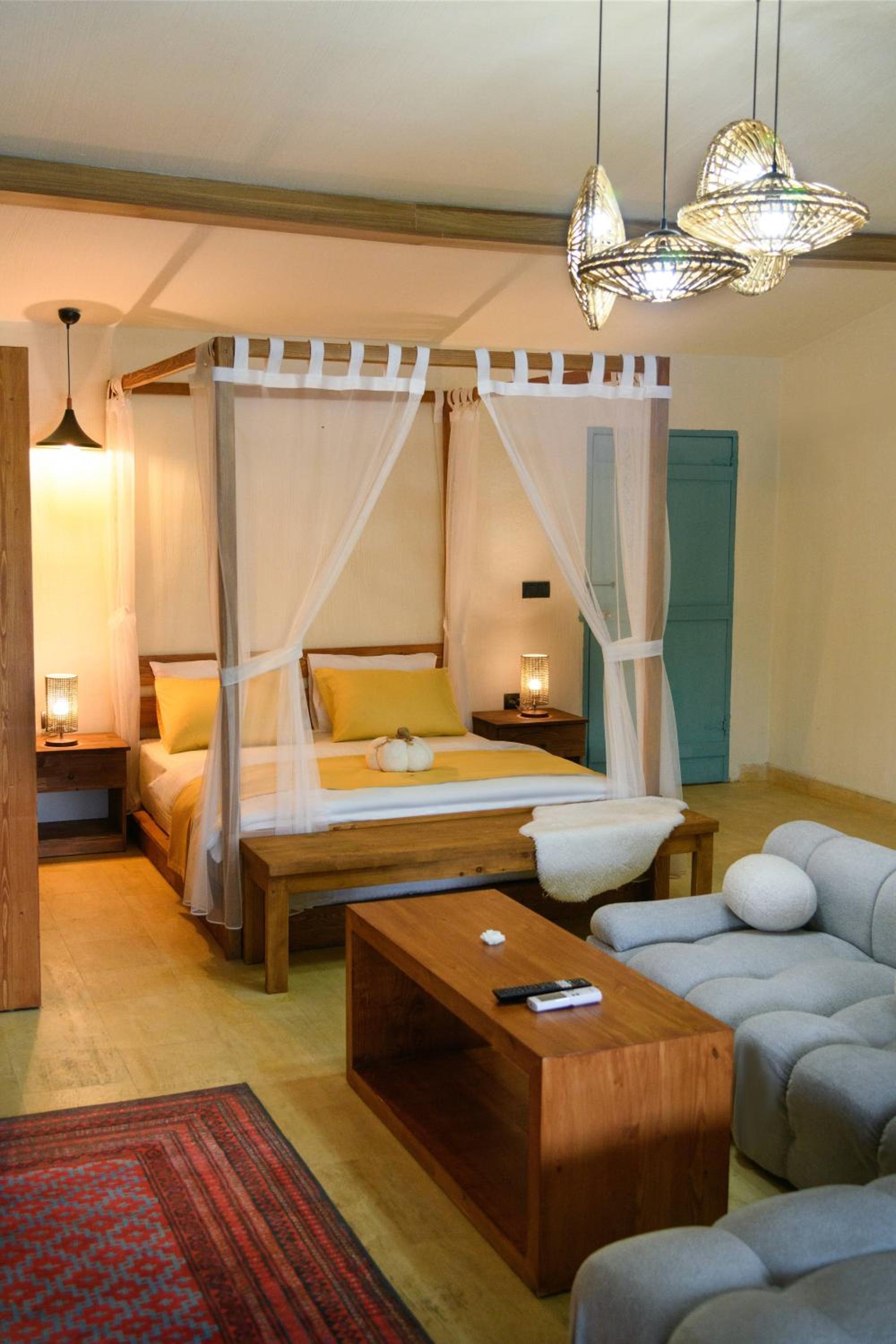 Queen Room With Pool View photo 2