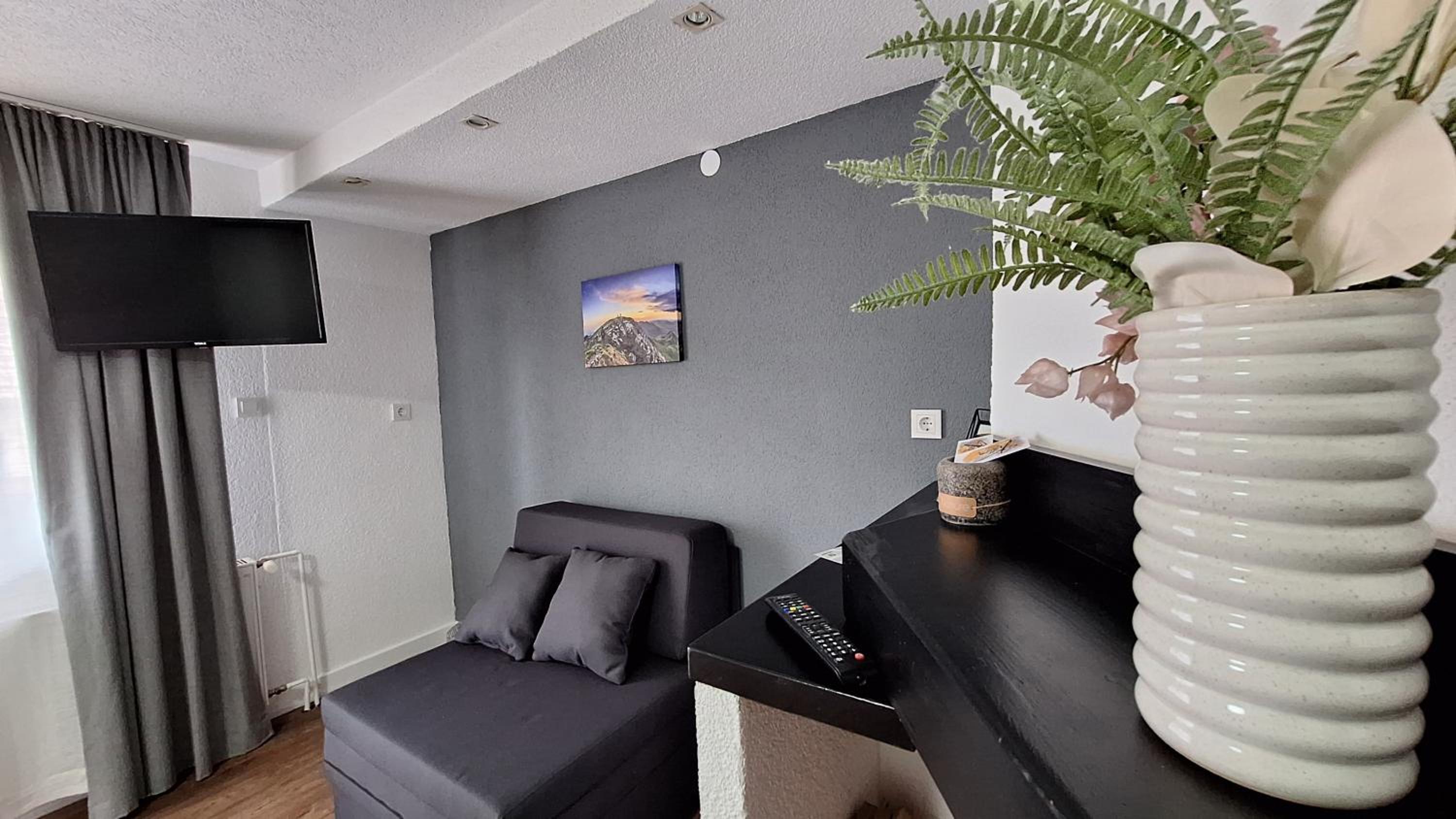 Double or Twin Room with Mountain View photo 2