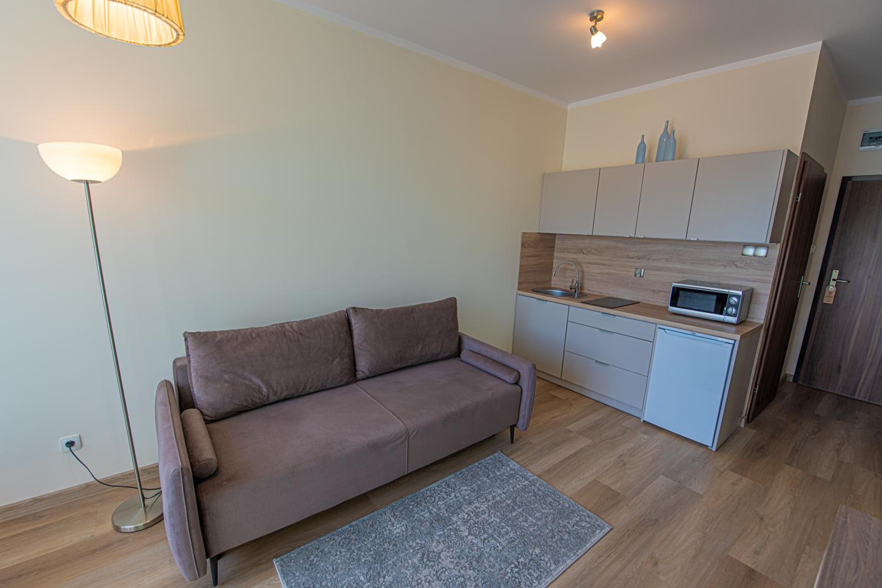 One-Bedroom Suite photo 1