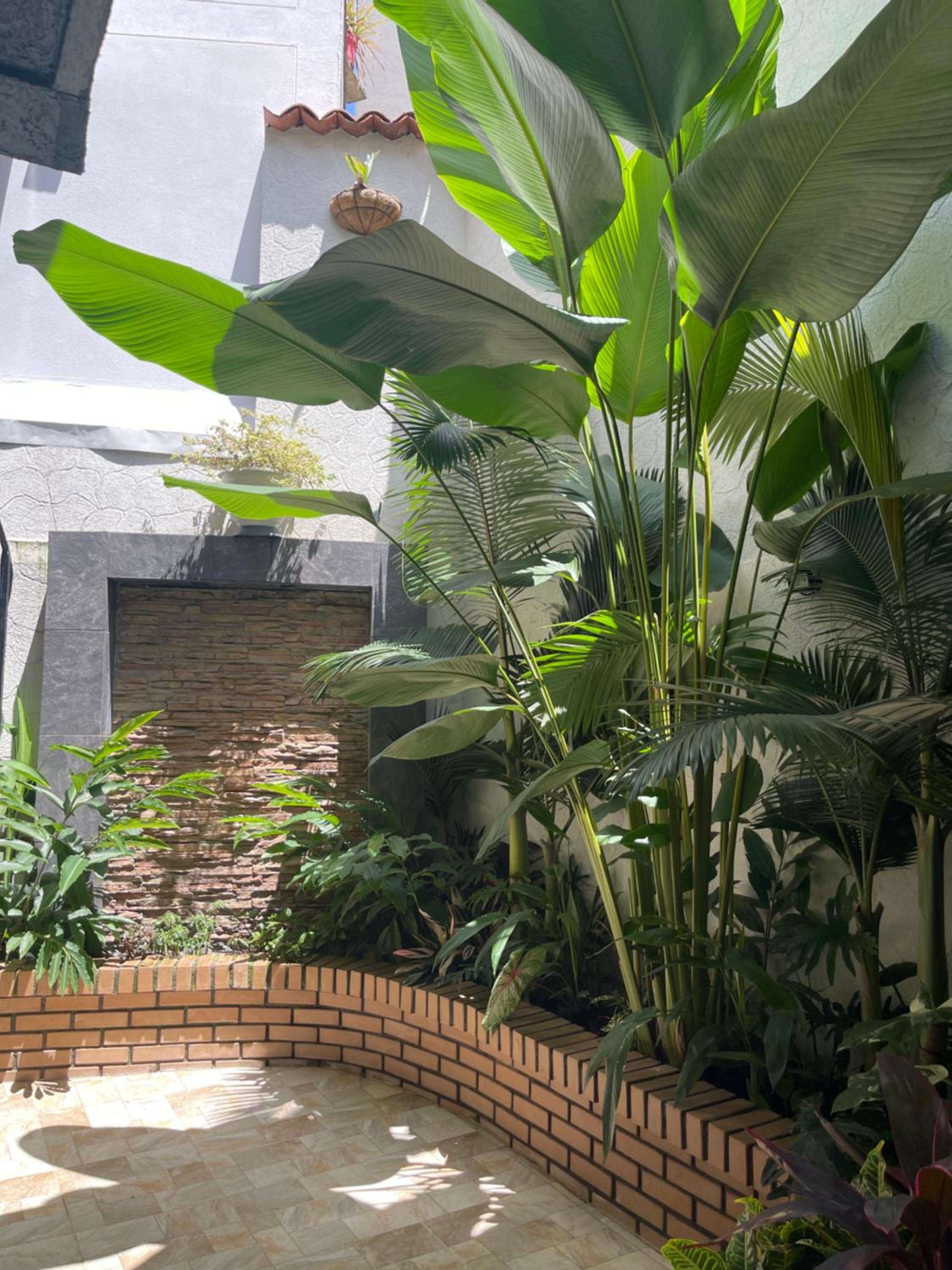 Suite With Garden View photo 3