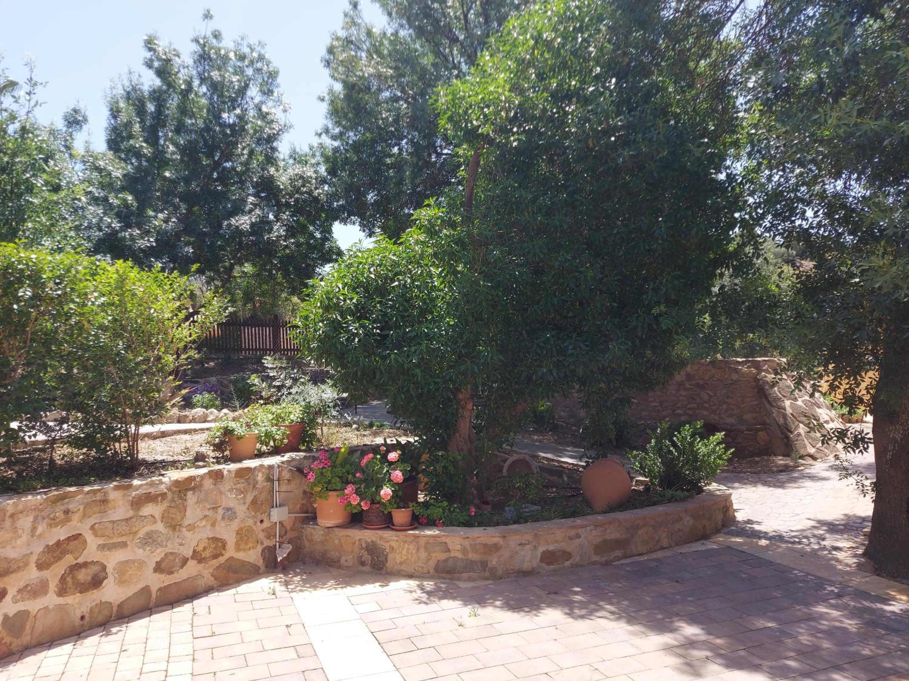 Five-Bedroom House photo 2