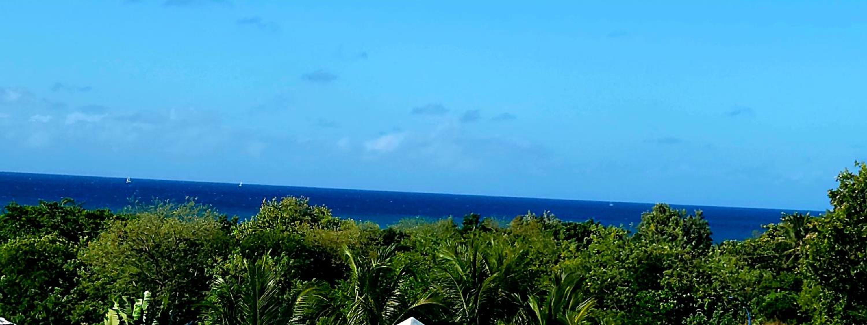 Apartment with Sea View photo 2