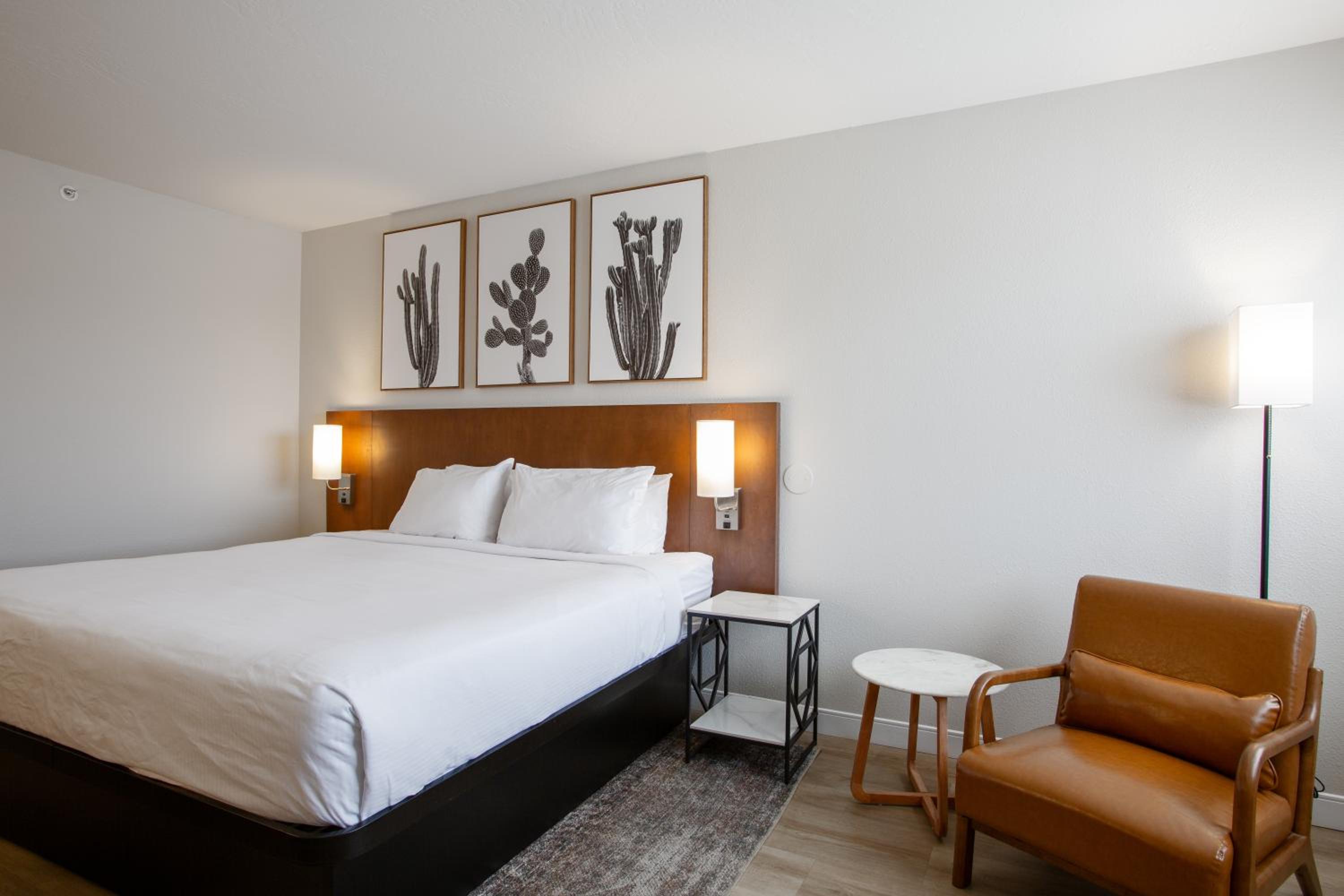 King Room with Roll-in Shower - Mobility Access/Non-Smoking - Photo 9
