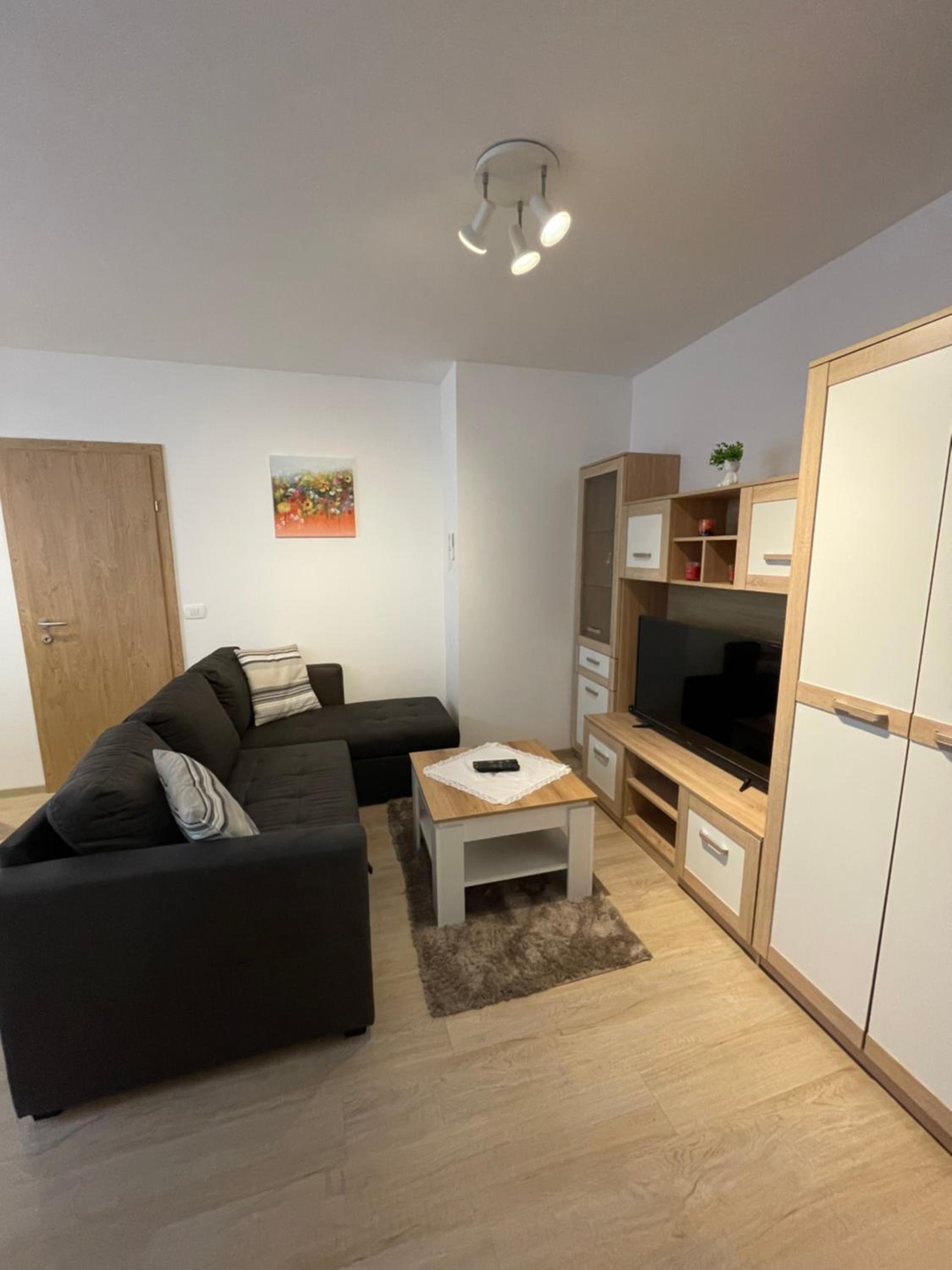 One-Bedroom Apartment photo 3