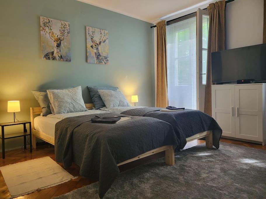 One-Bedroom Apartment photo 1