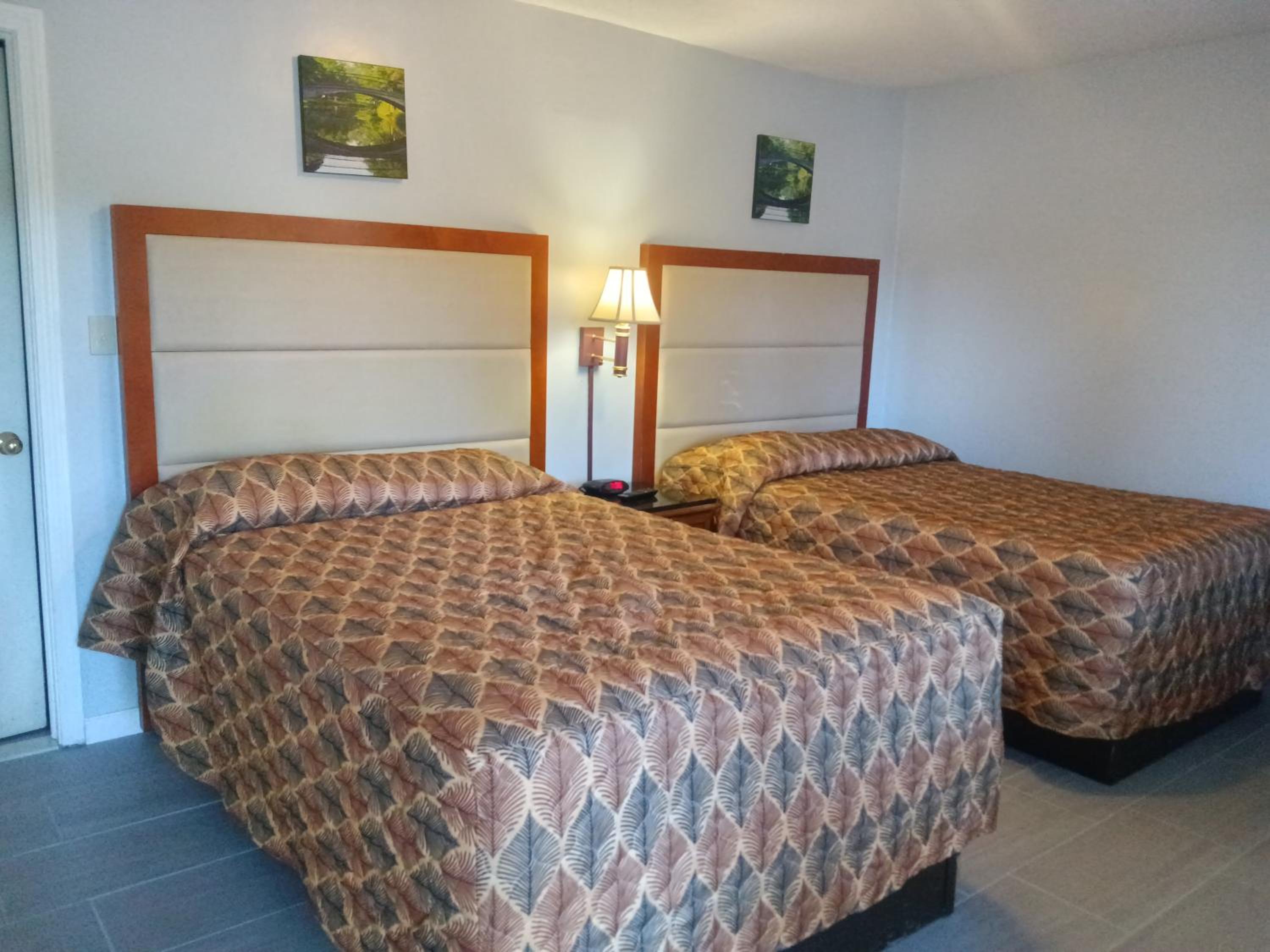 Standard Double Room photo 1
