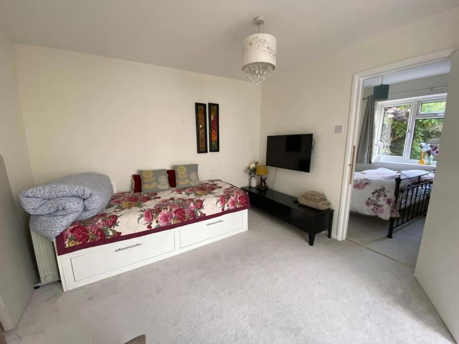 One-Bedroom House photo 1