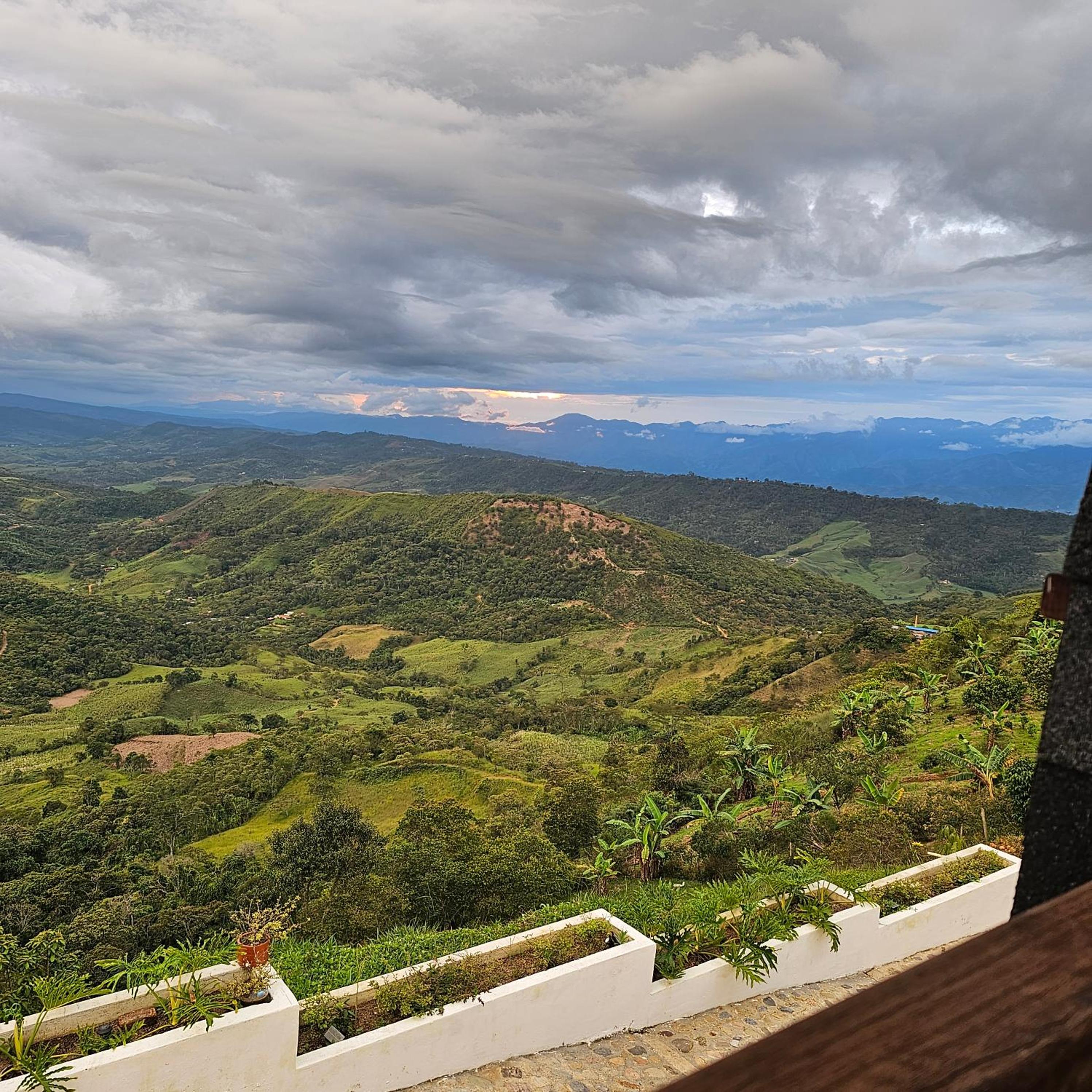 Superior Villa photo 1