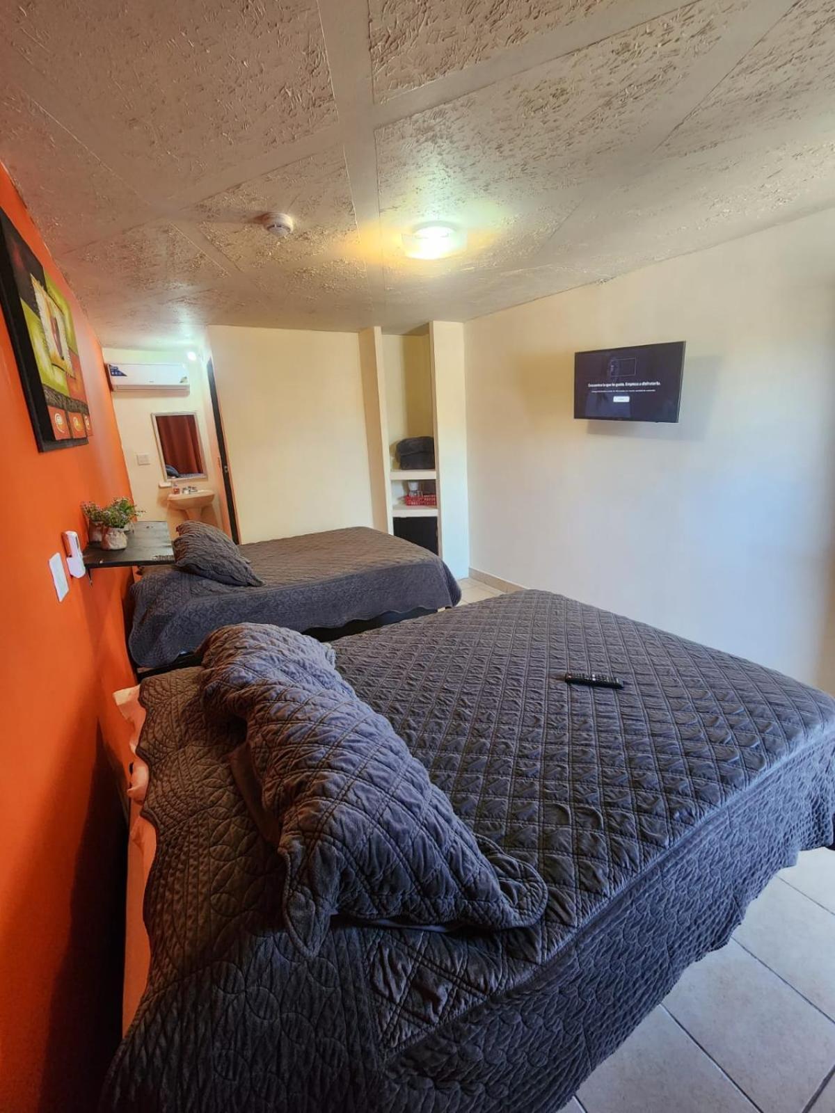 One-Bedroom Apartment - Photo 4