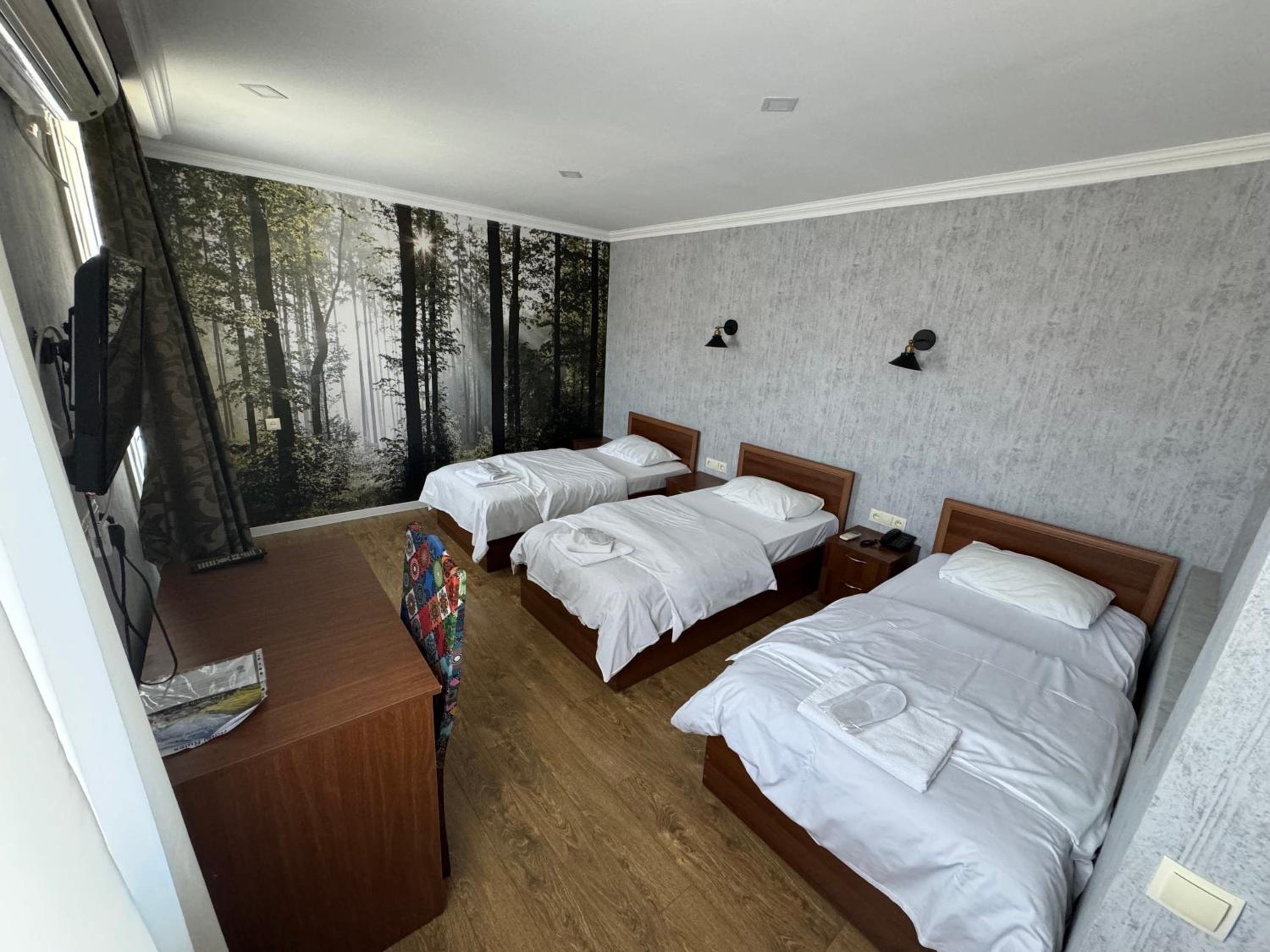 Standard Triple Room with View