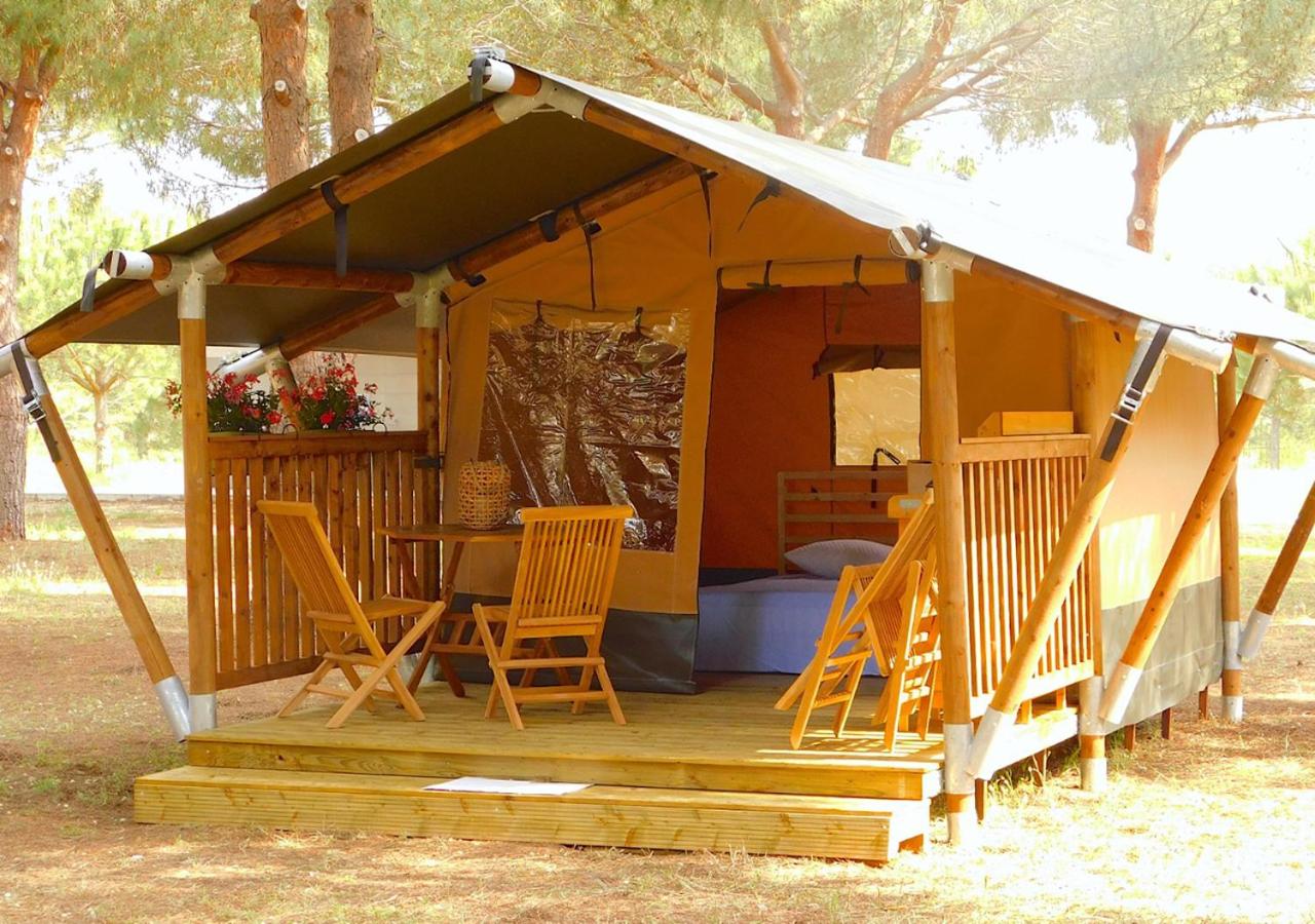 Tent photo 1