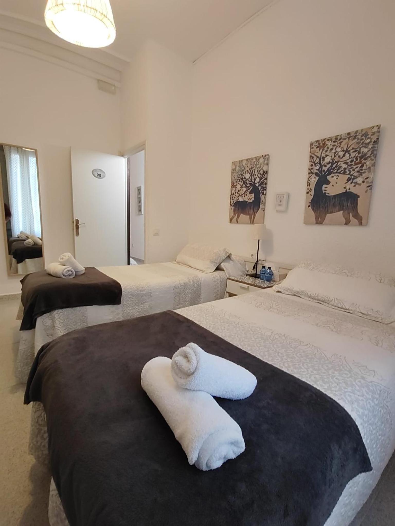 Twin Room with Shared Toilet photo 2