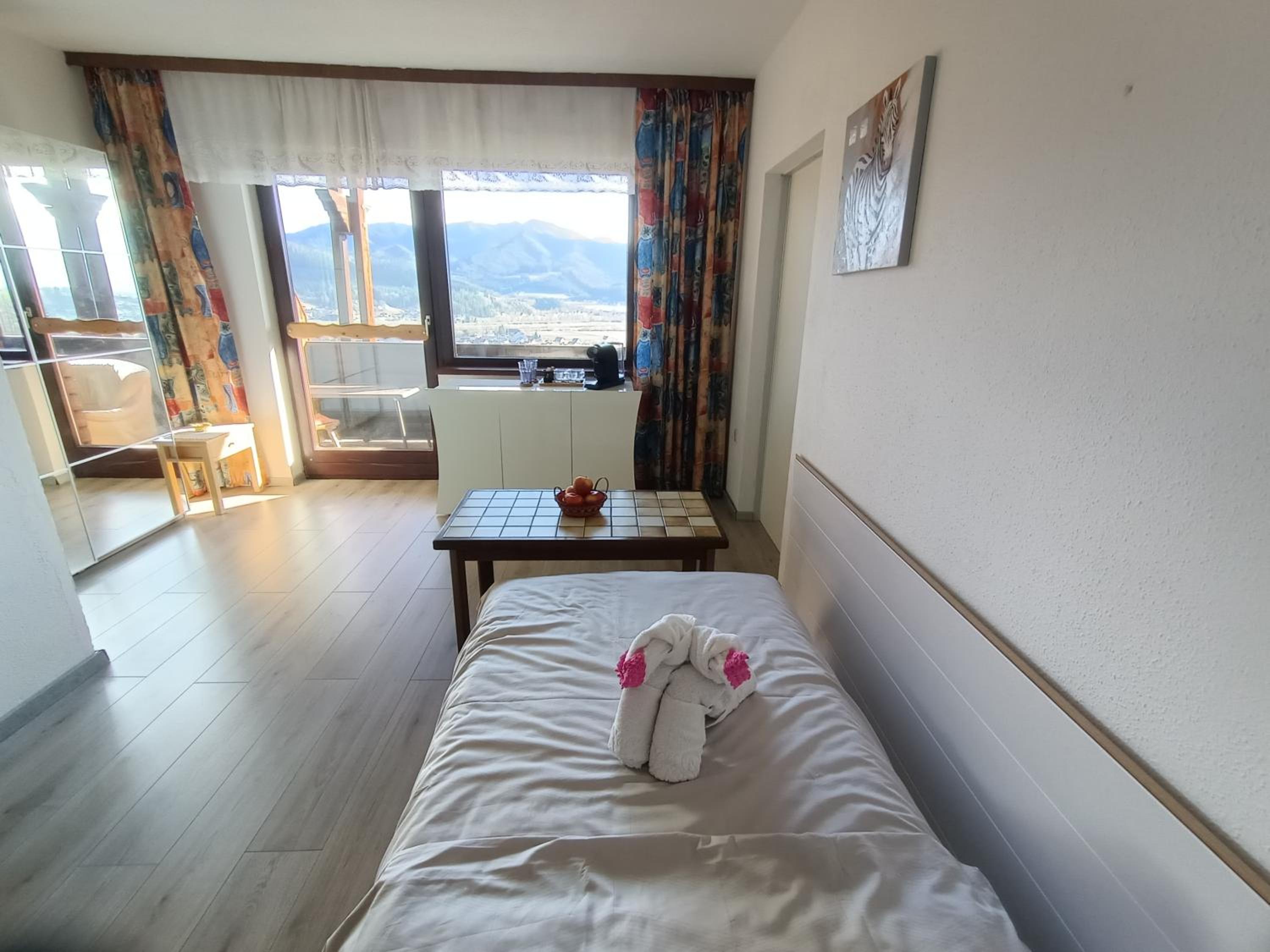 Superior Single Room photo 1