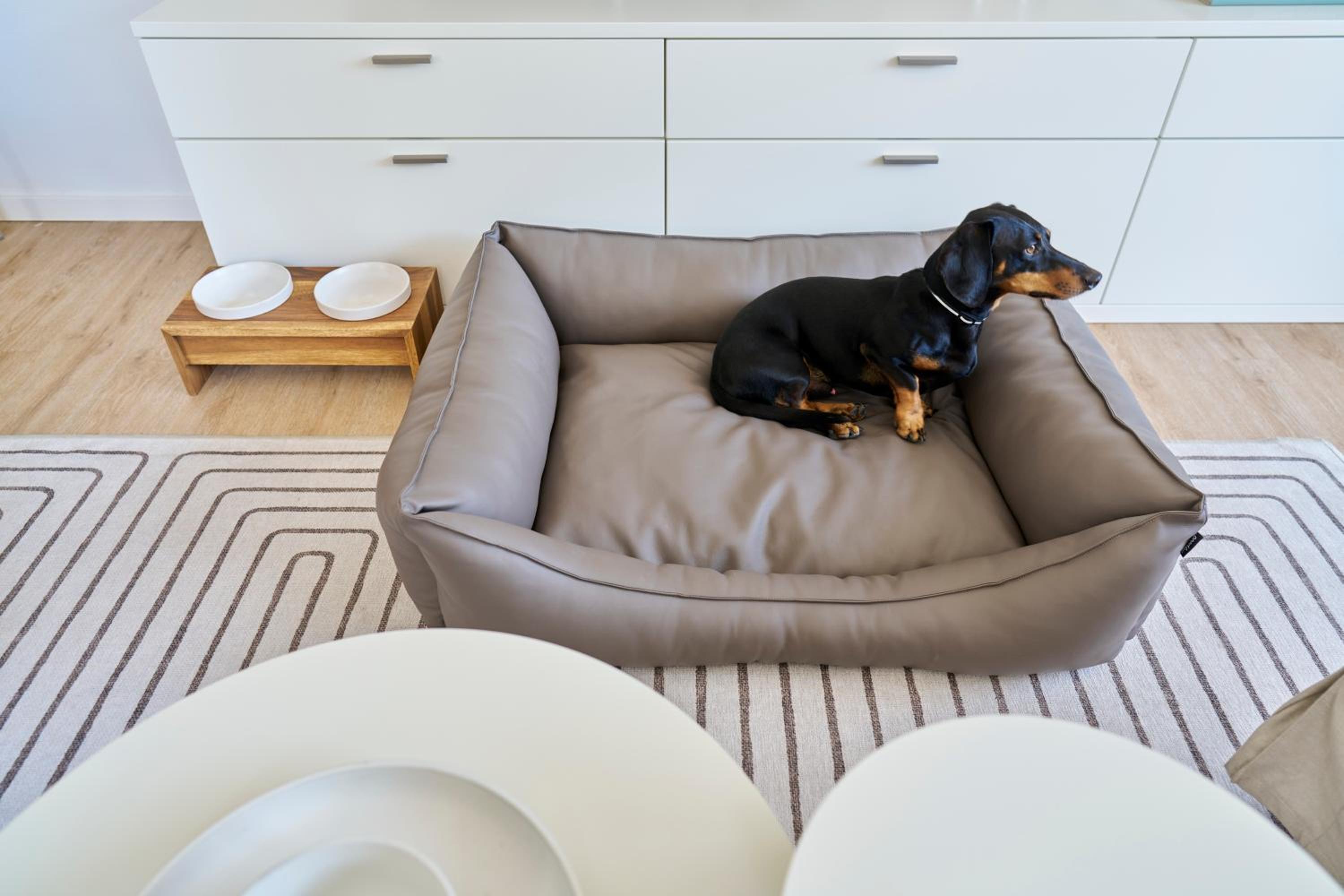 One-Bedroom Apartment - Dog welcome  photo 3