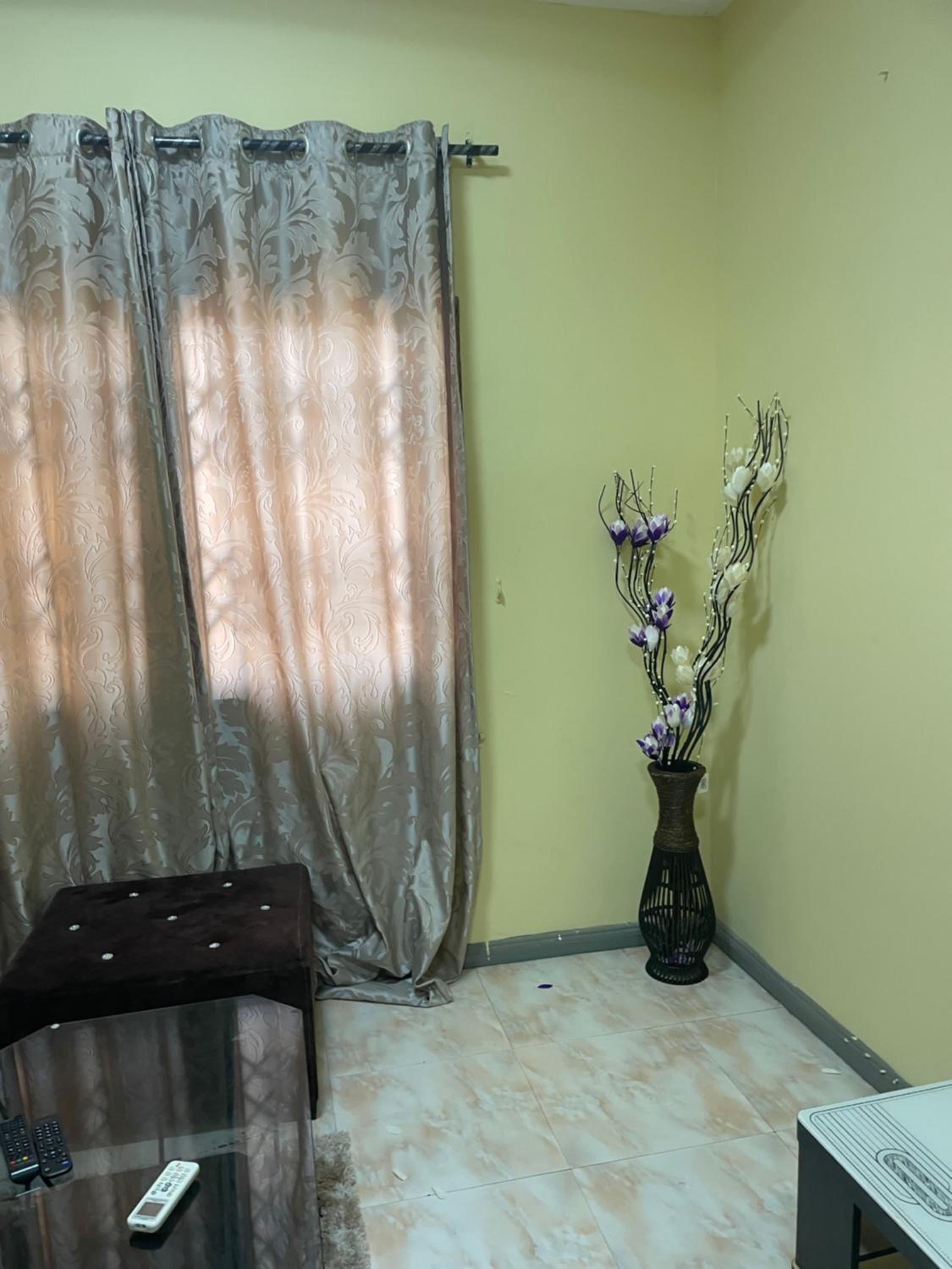 Two-Bedroom Apartment photo 3