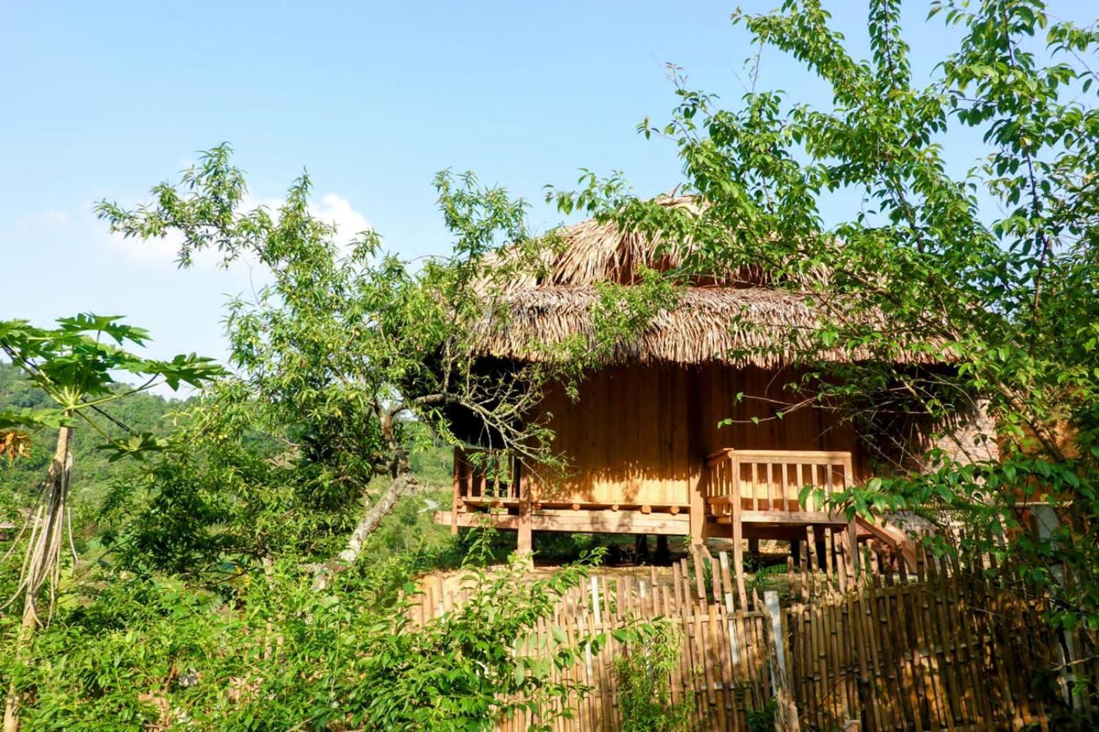 Family Bungalow photo 1