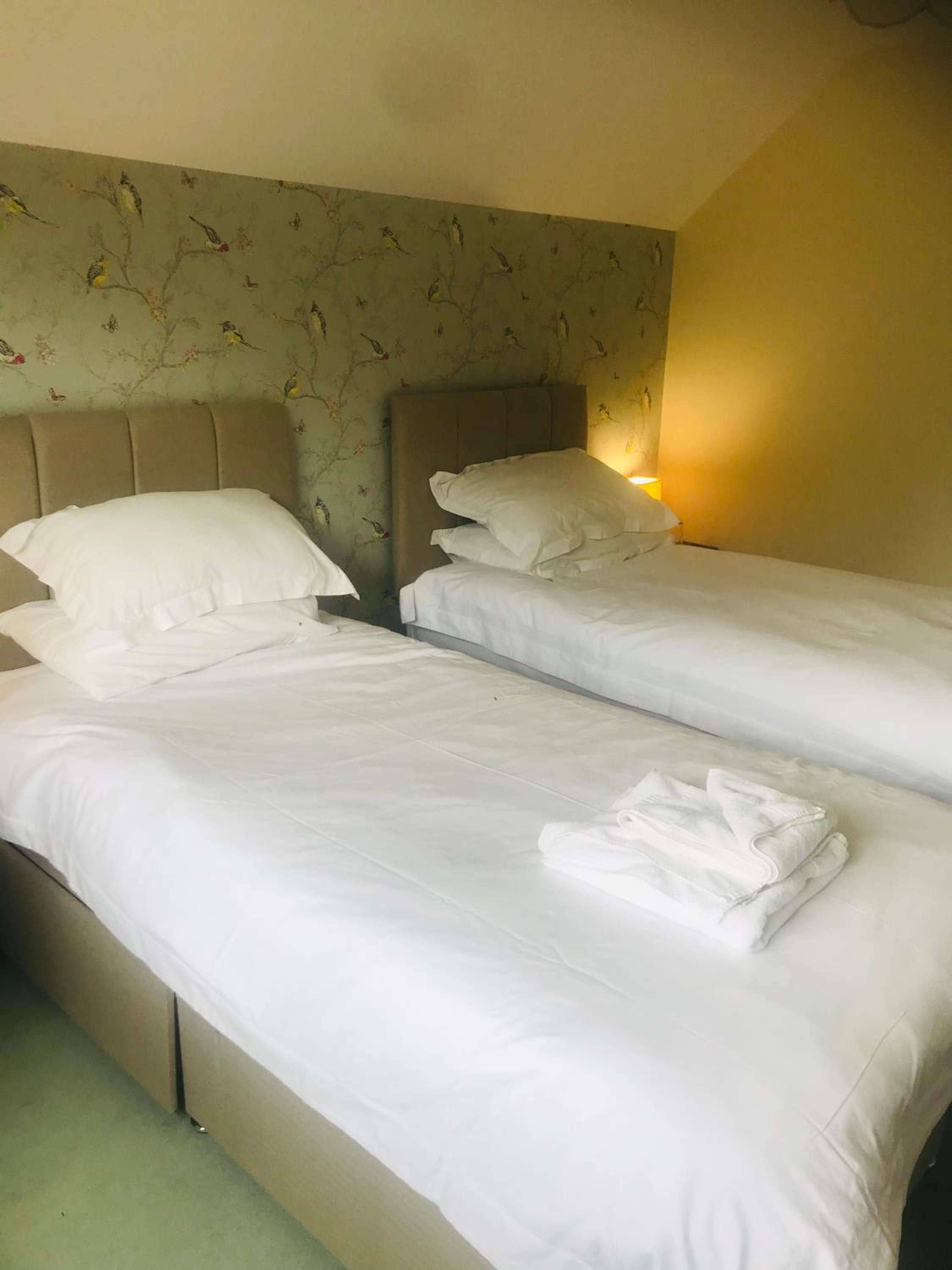 King Room with Garden View