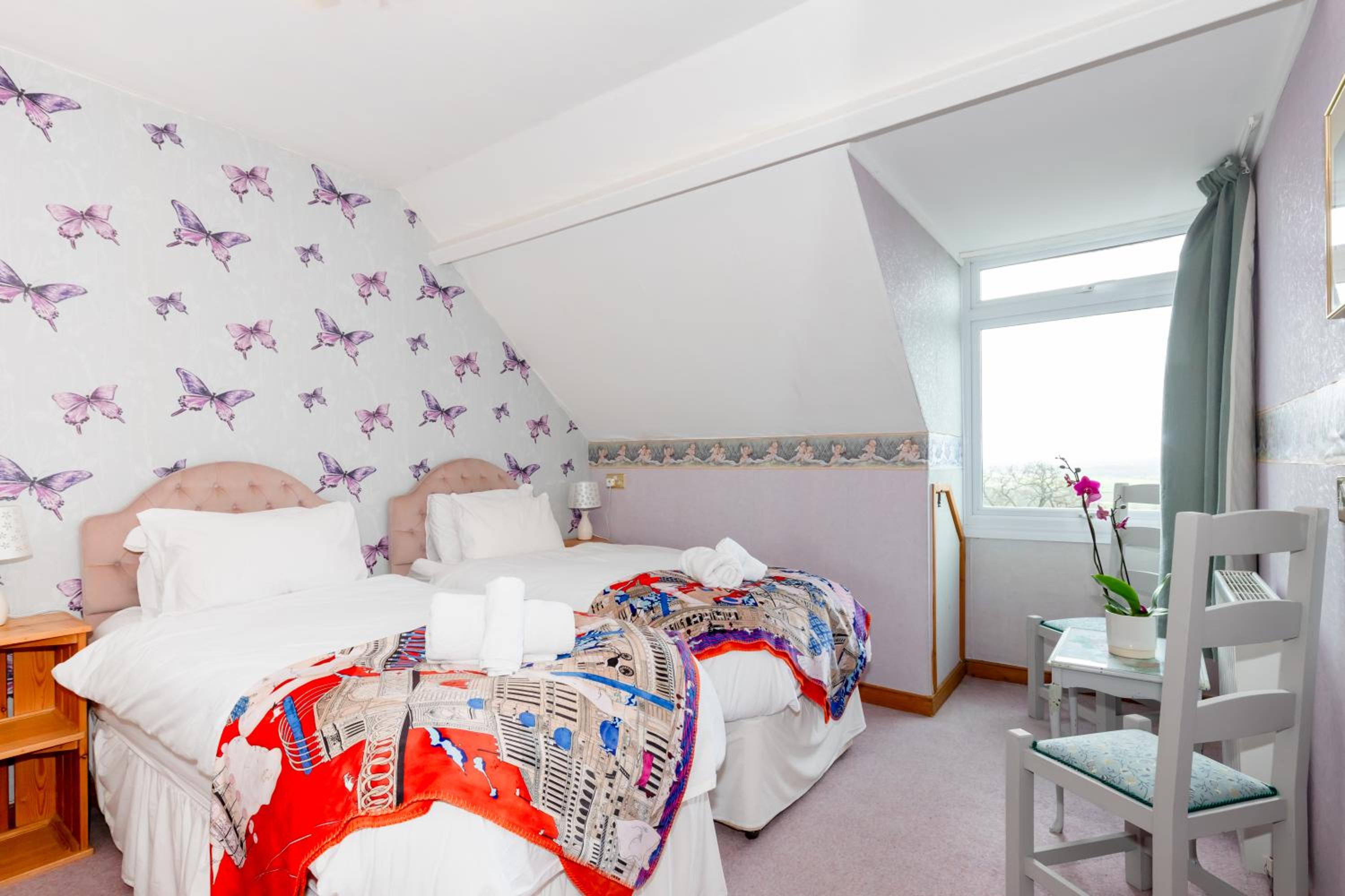 Standard Twin Room photo 1