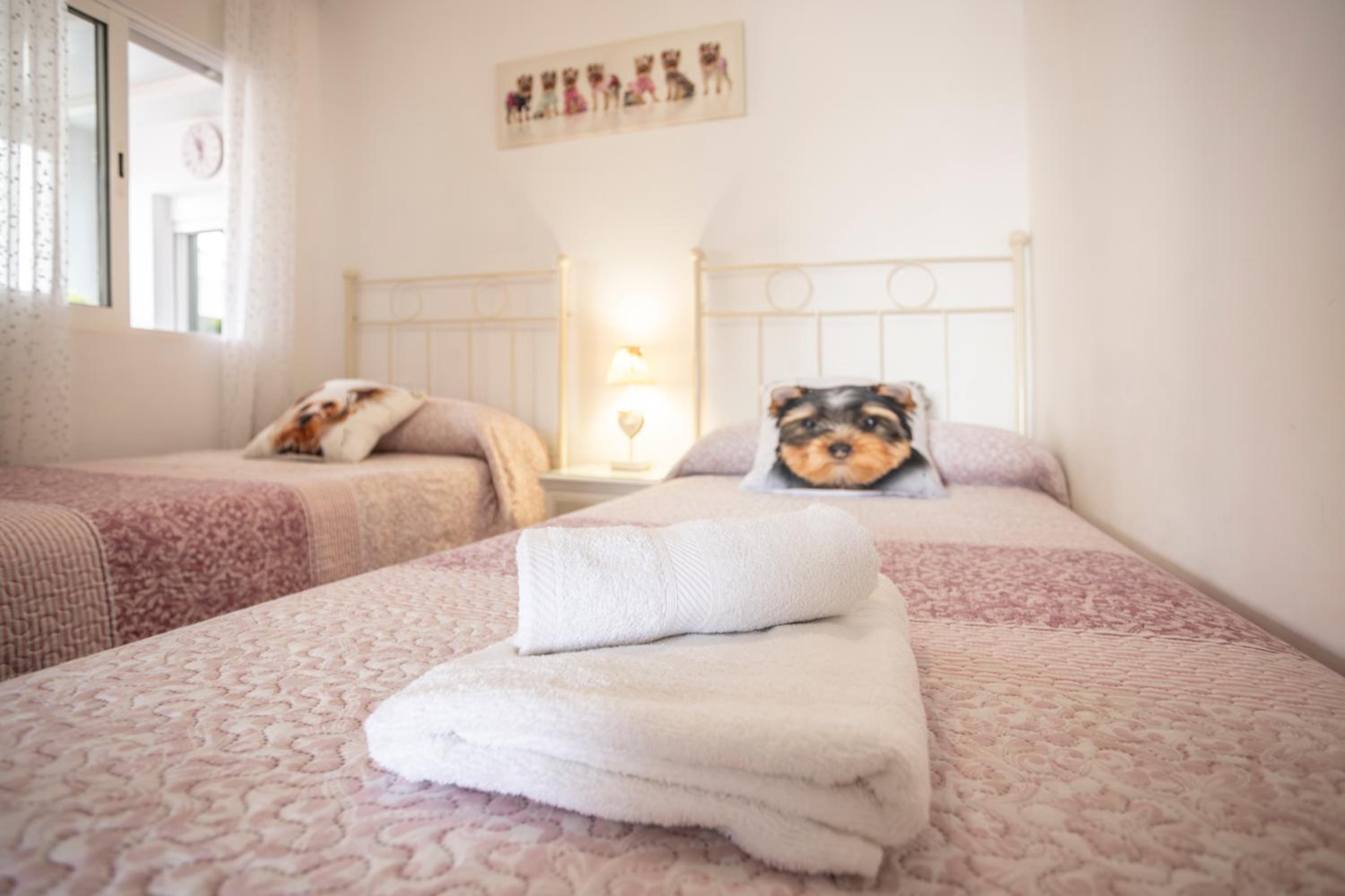 Apartamento con Terraza