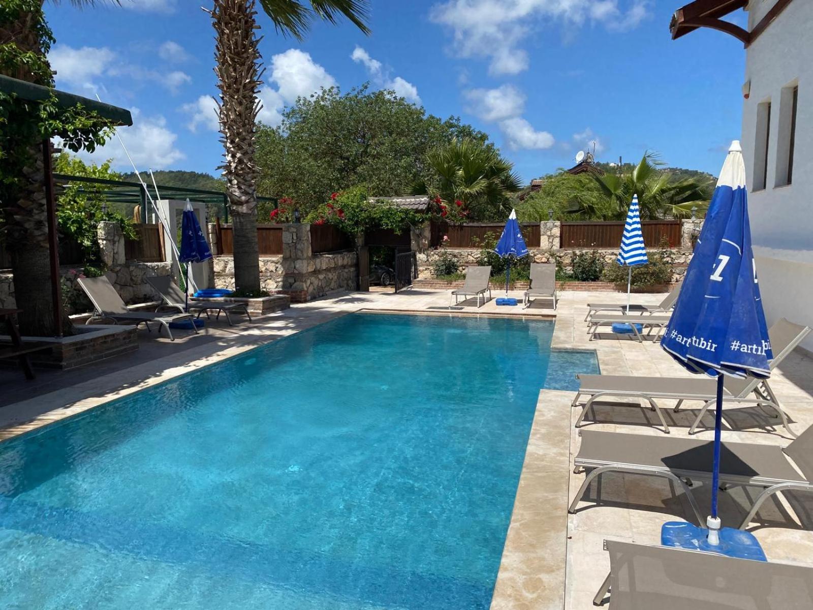 Villa With Private Pool photo 3