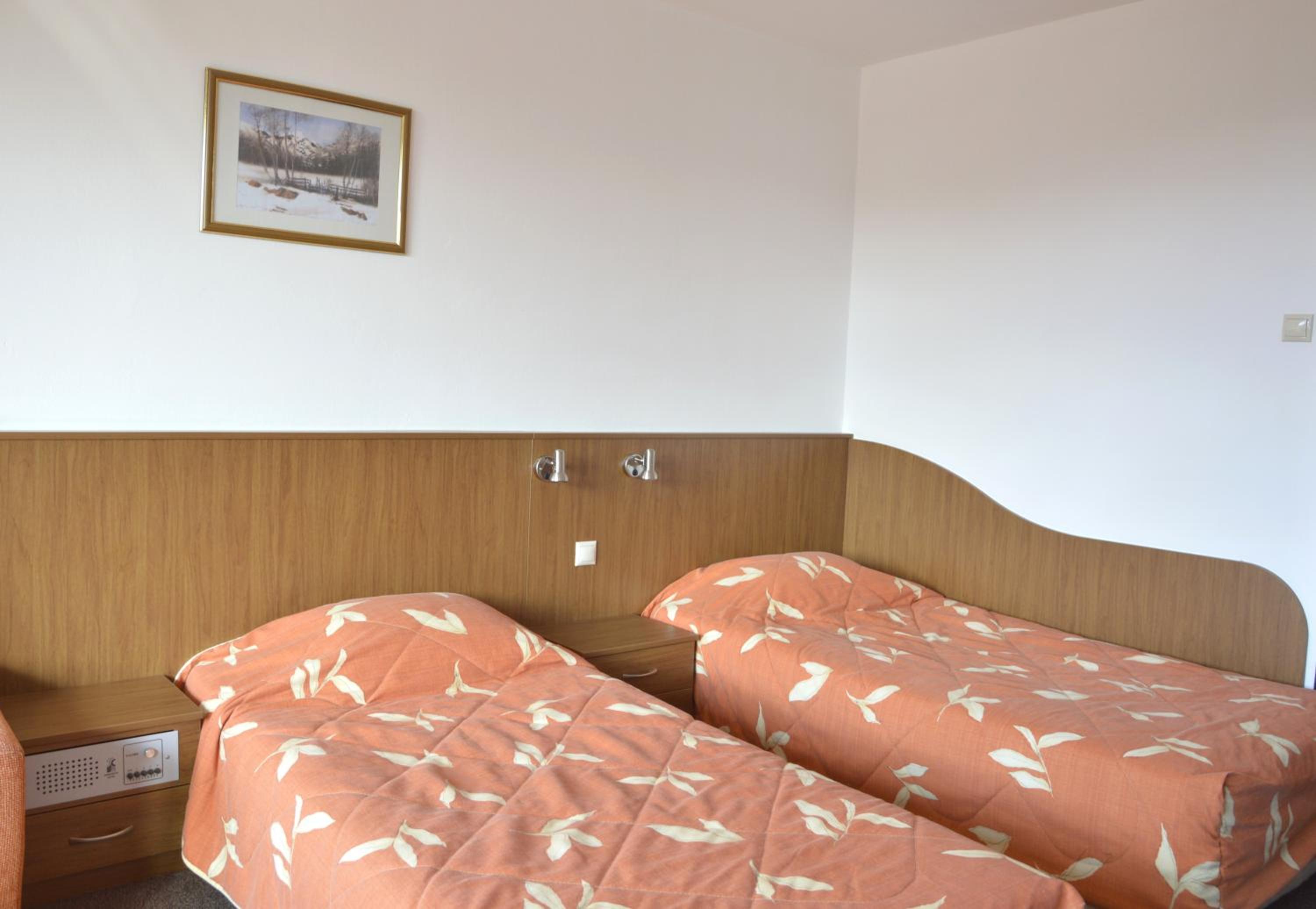 Twin Room photo 3