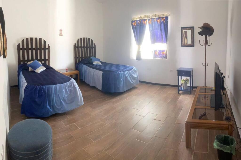 One-Bedroom House photo 1