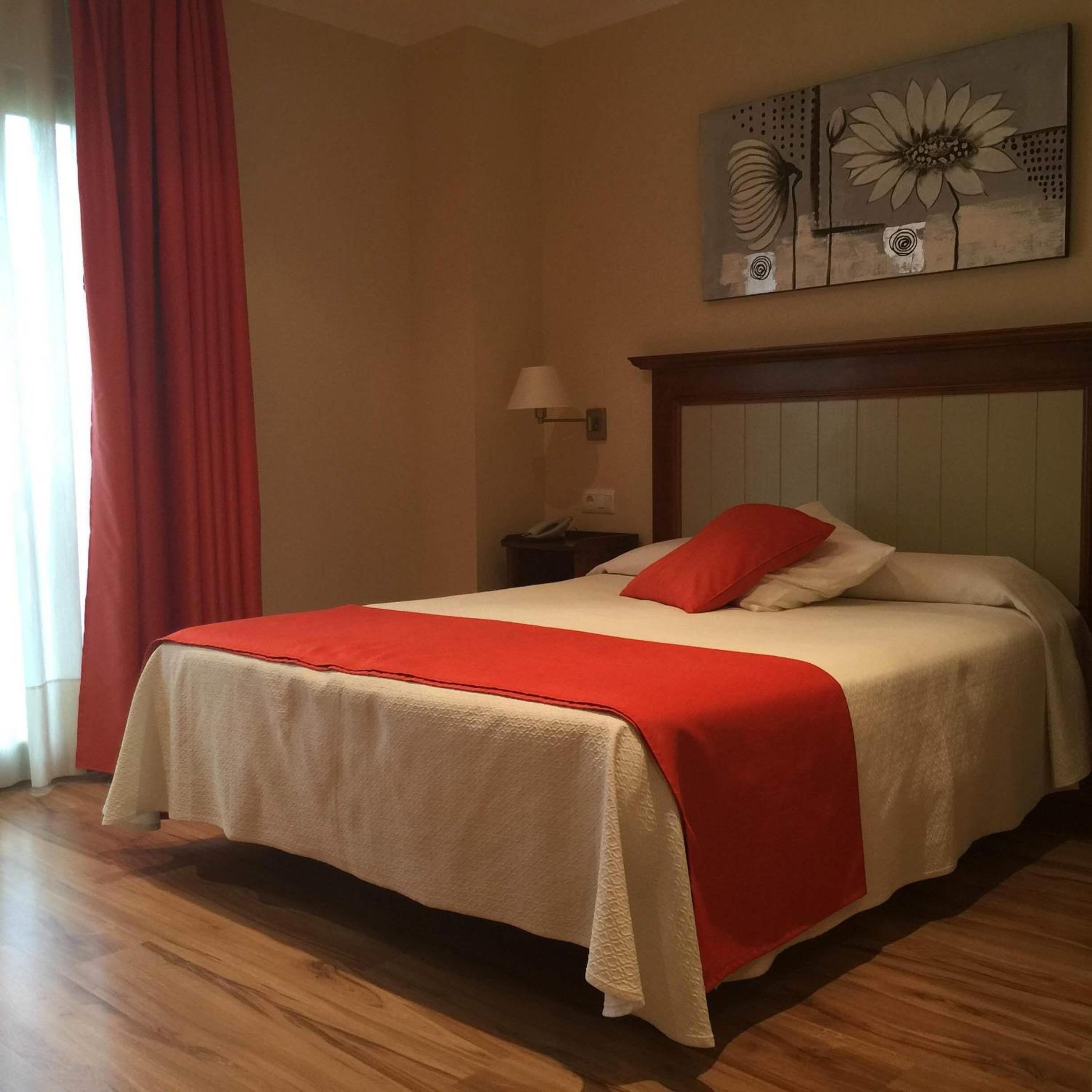 Single Room photo 2