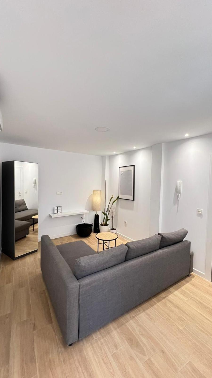 Apartamento Deluxe de Dos Habitaciones