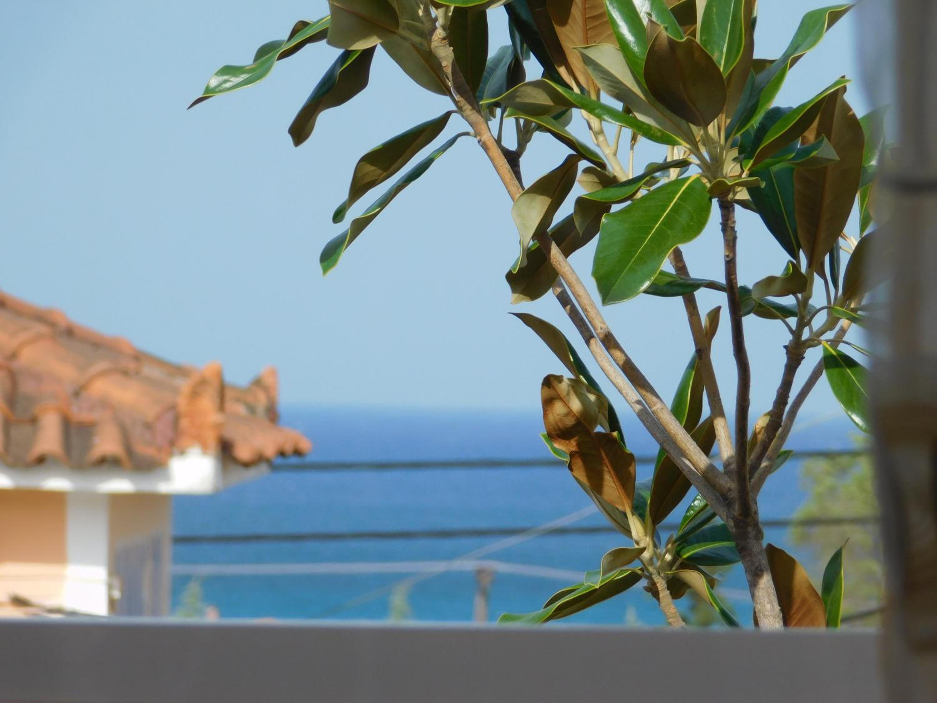Apartment with Sea View photo 2